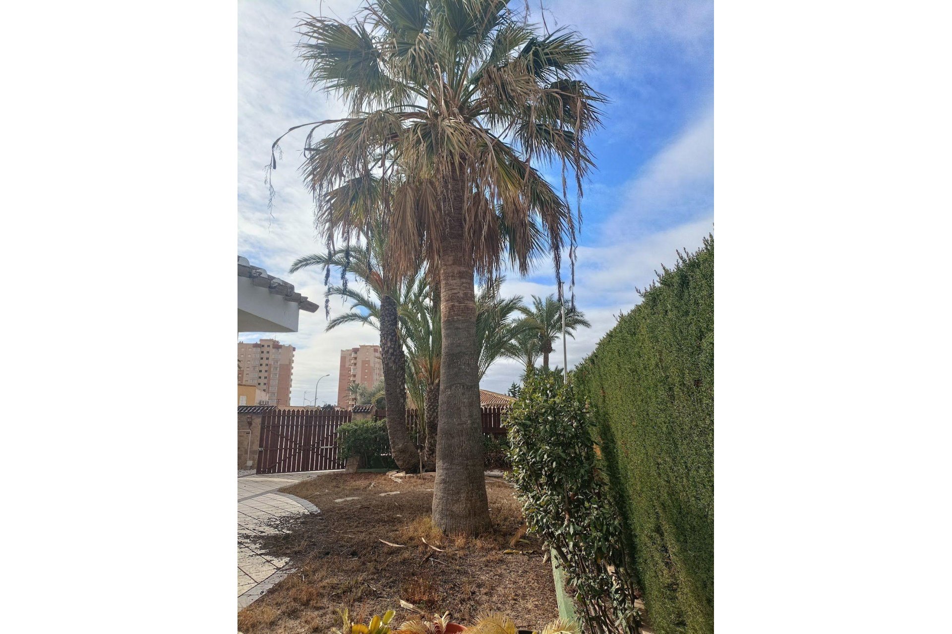 Revânzare - Vilă -
Orihuela Costa - Campoamor