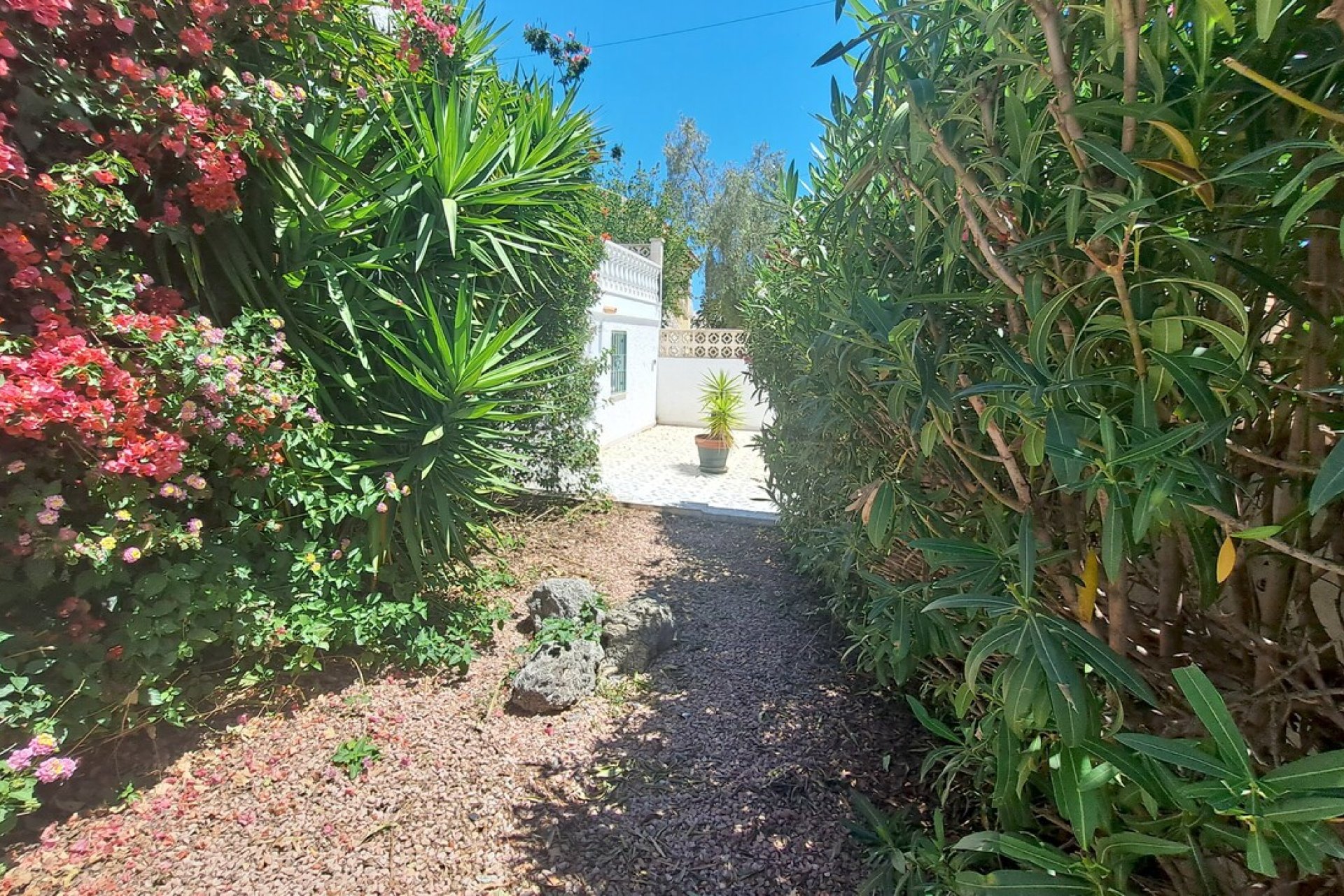 Revânzare - Vilă -
San Miguel de Salinas - Inland