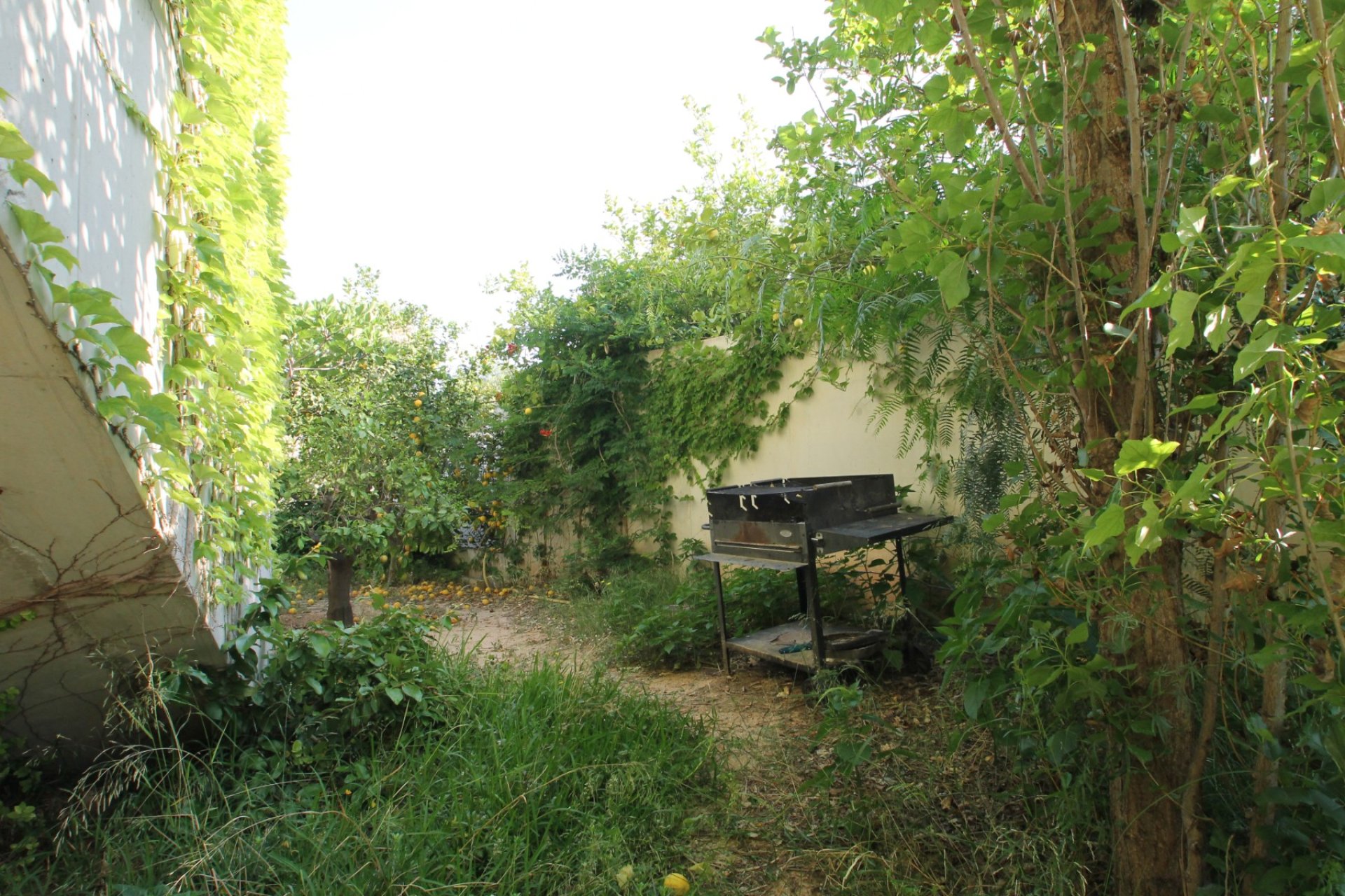 Revânzare - Vilă -
San Vicente del Raspeig - Inland