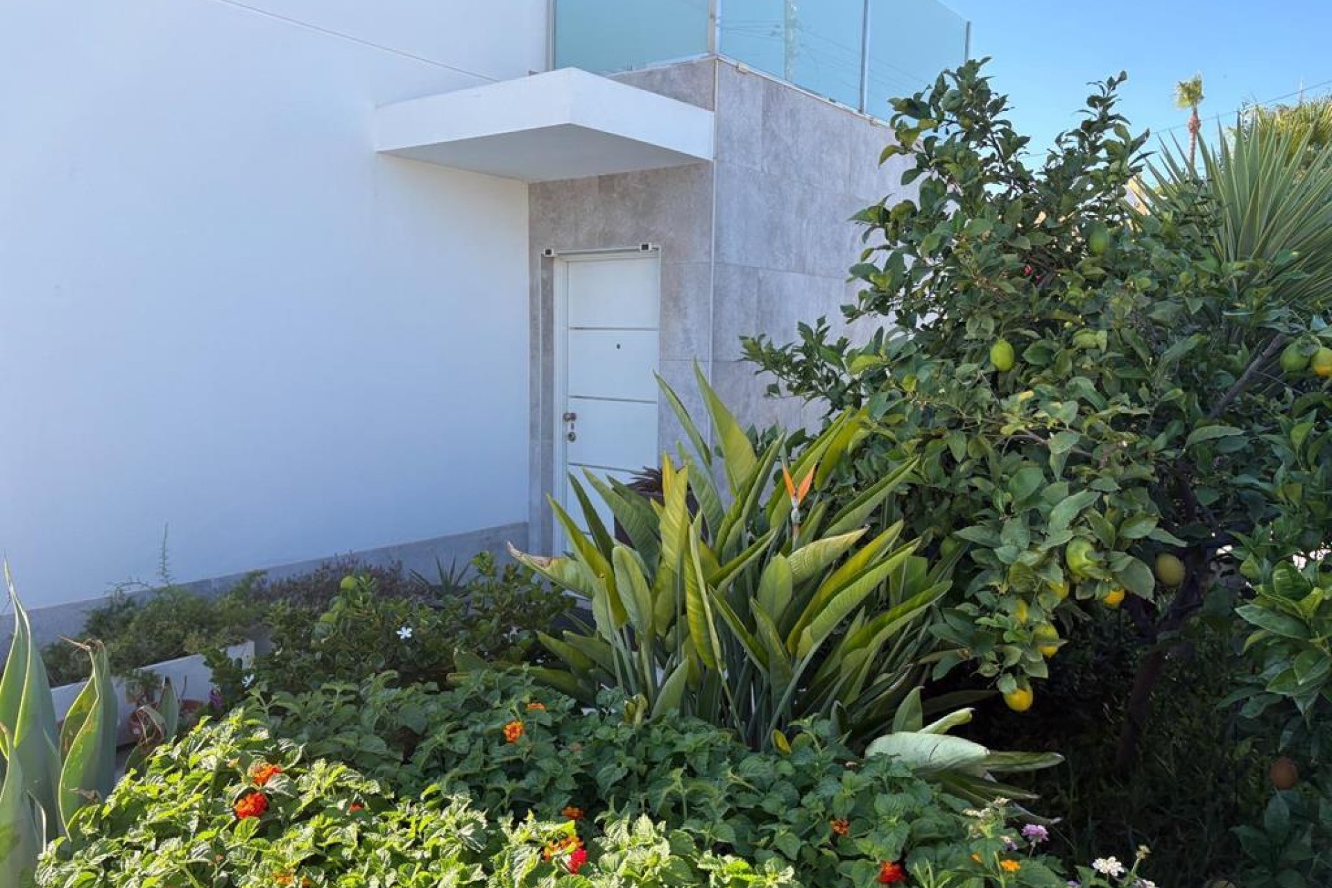 Revânzare - Vilă -
Torrevieja - Torreta Florida
