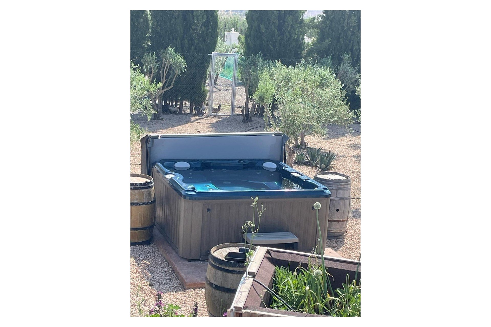 Revânzare - Vilă -
Villena - Inland