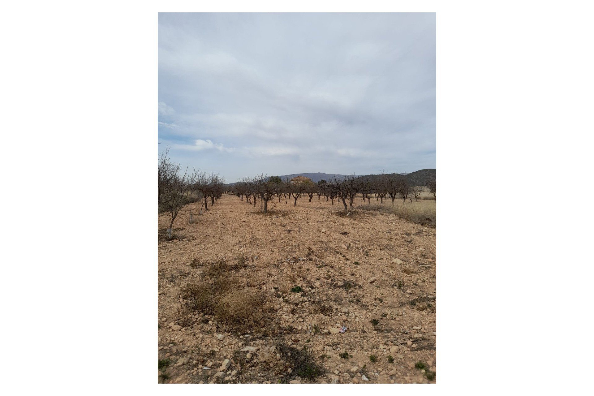 Segunda mano - Adosado -
Casas Del Señor - Inland