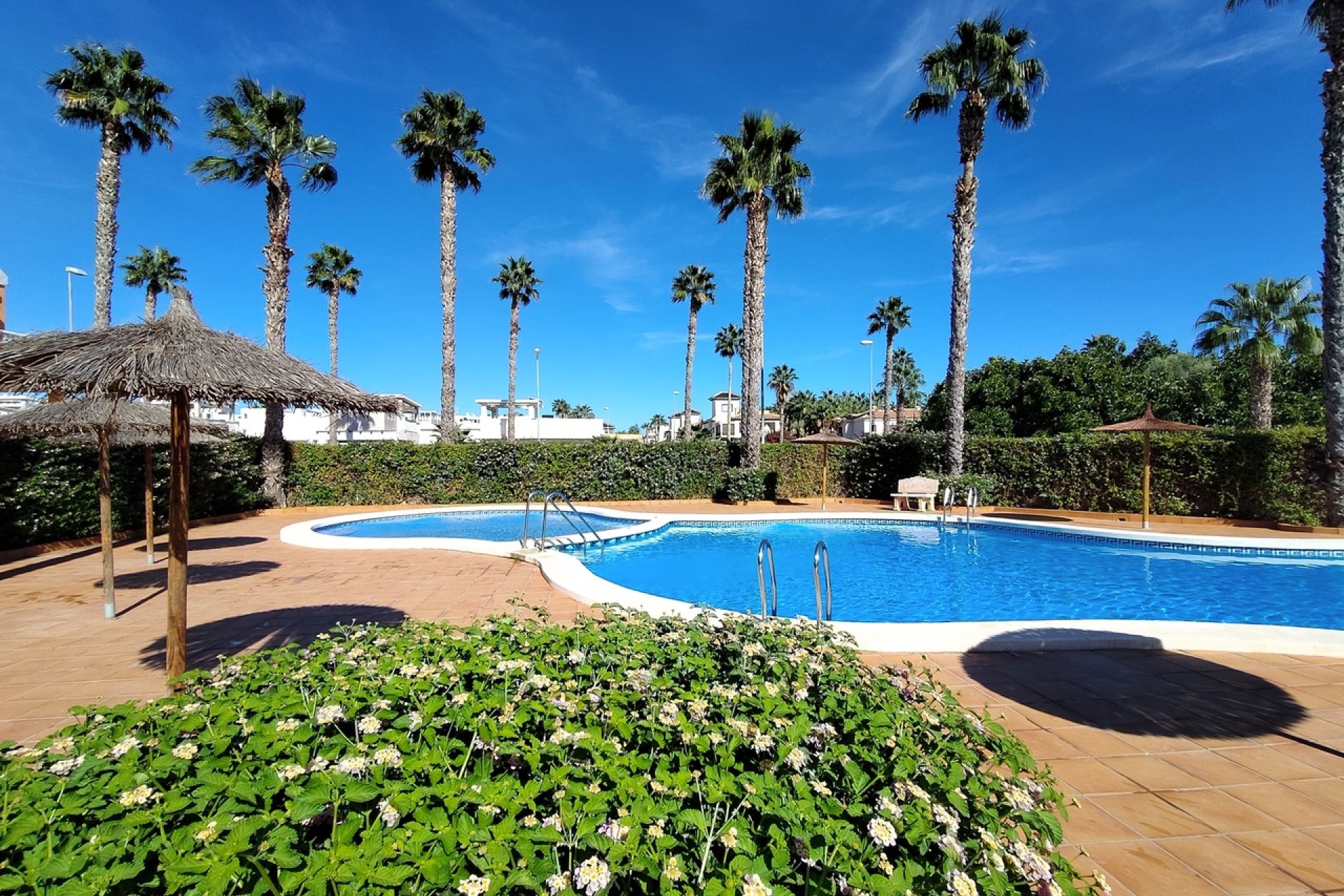Segunda mano - Adosado -
Ciudad Quesada - Costa Blanca
