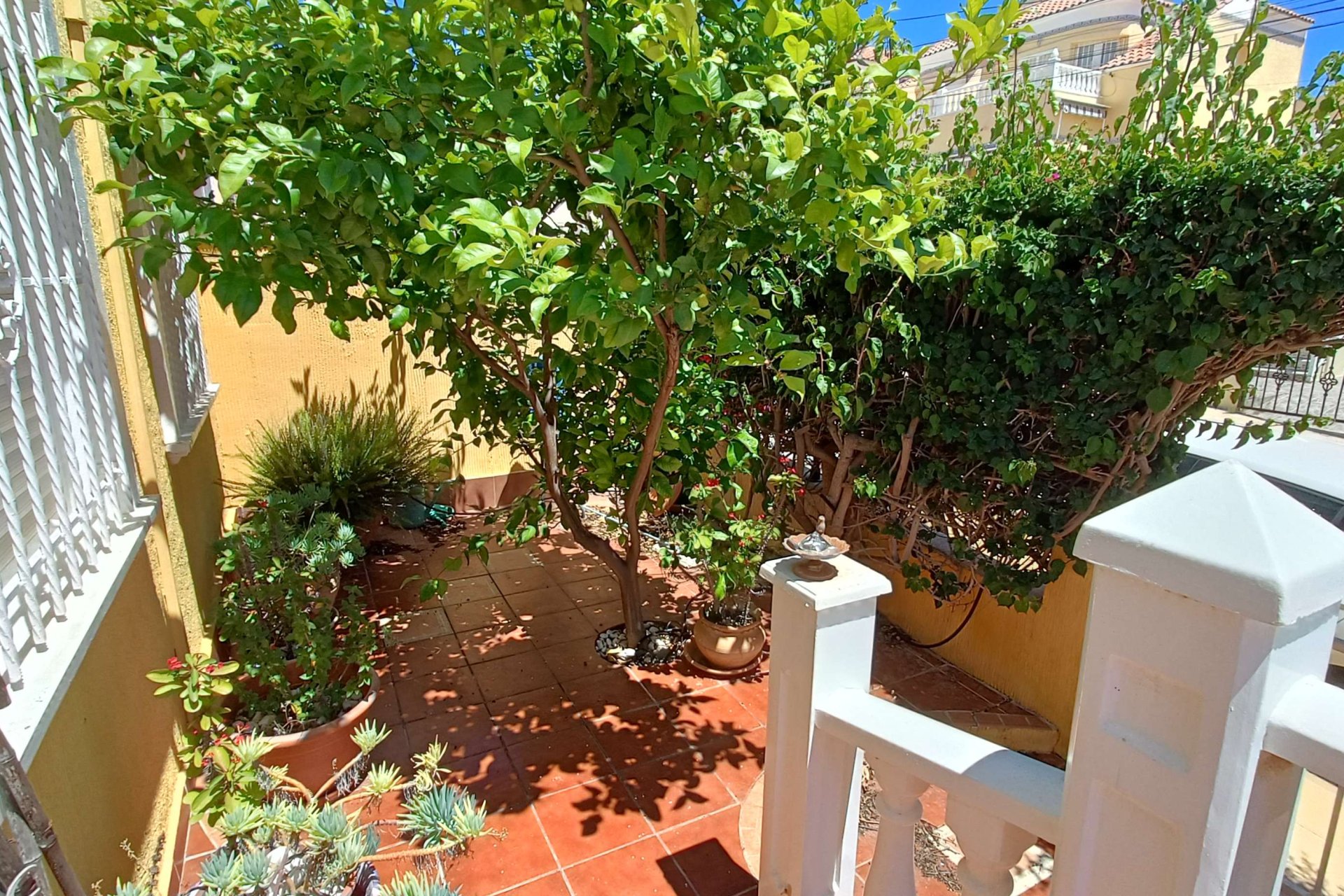 Segunda mano - Adosado -
Orihuela Costa - Costa Blanca