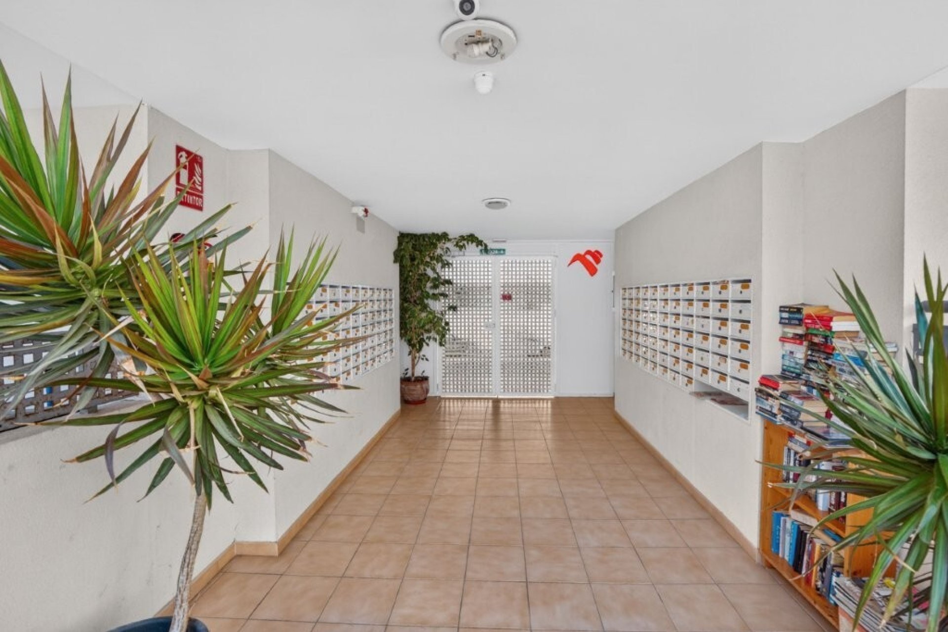 Segunda mano - Apartamento -
Almoradí - Costa Blanca