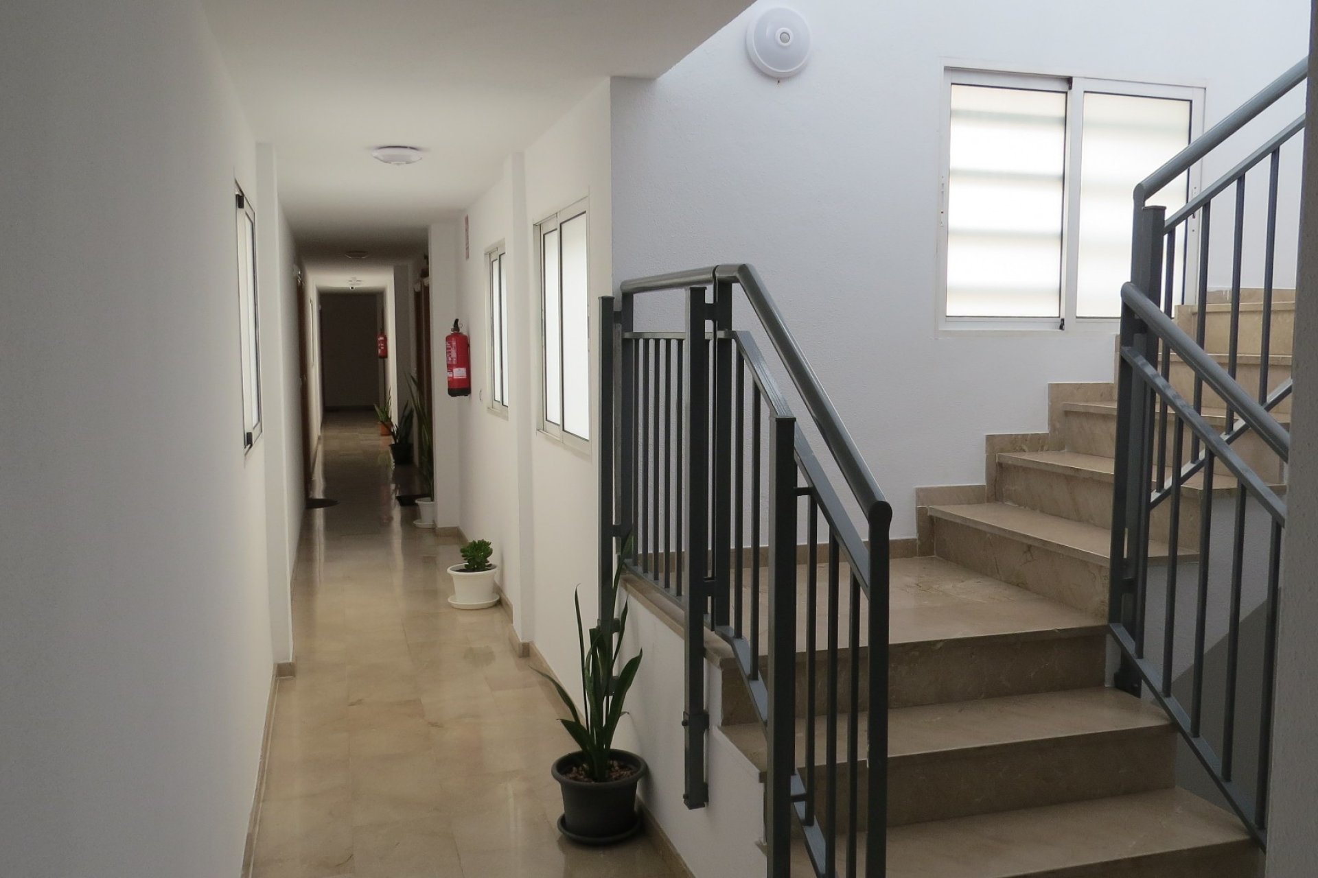 Segunda mano - Apartamento -
Almoradí - Inland