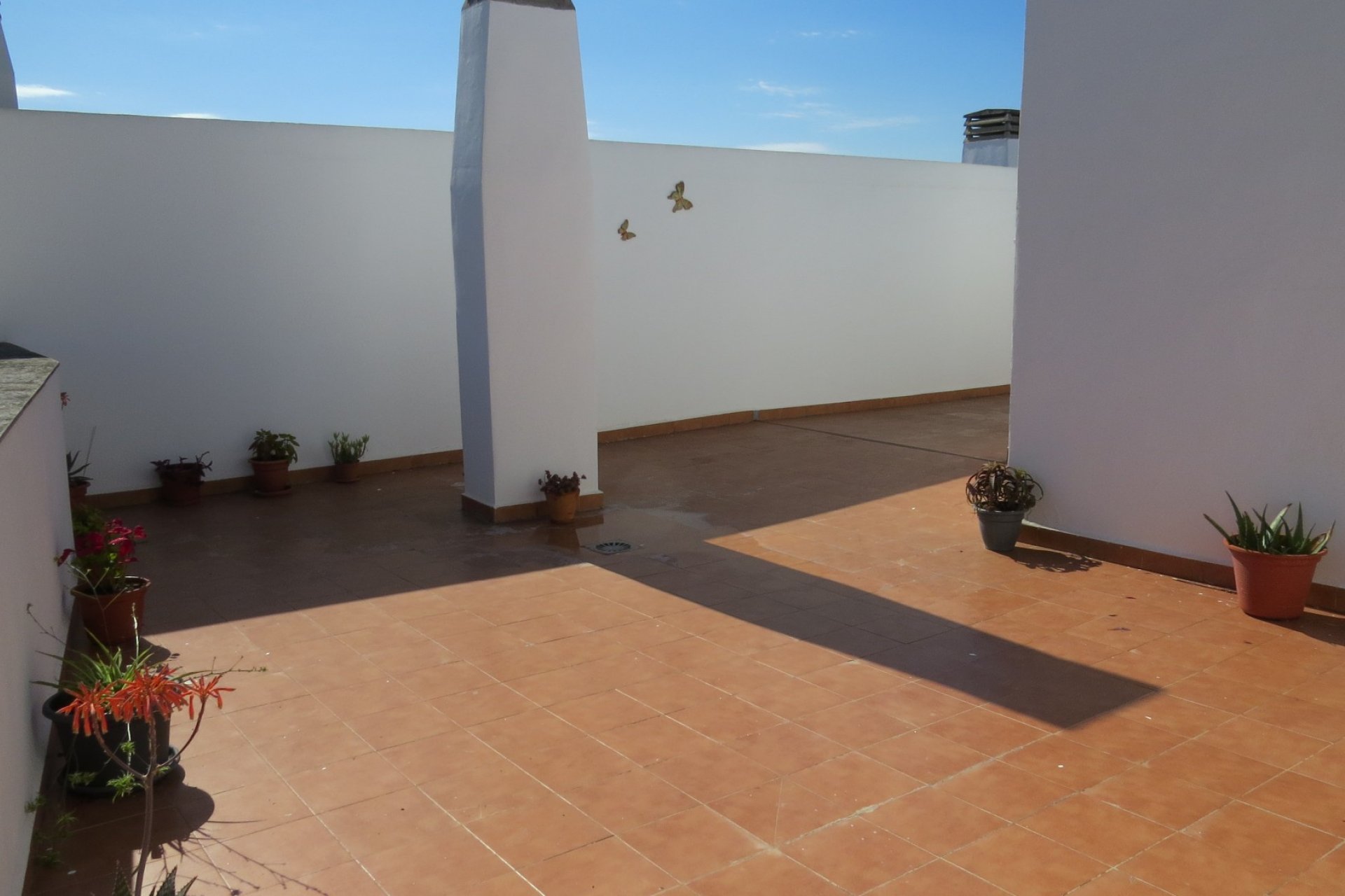 Segunda mano - Apartamento -
Almoradí - Inland