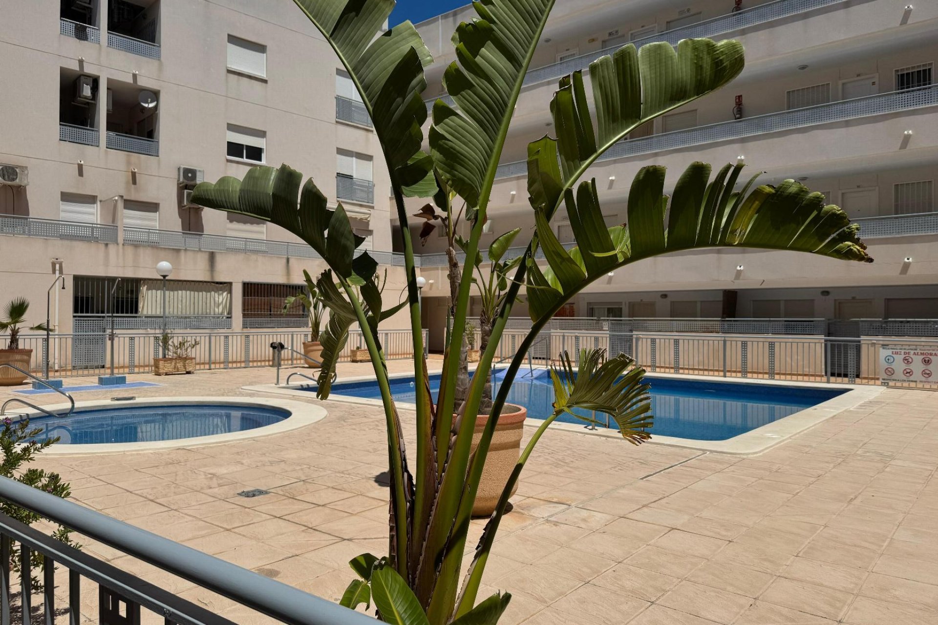 Segunda mano - Apartamento -
Almoradí - Inland
