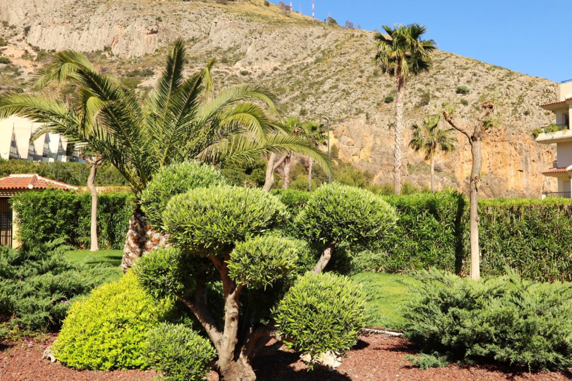 Segunda mano - Apartamento -
Altea - Costa Blanca