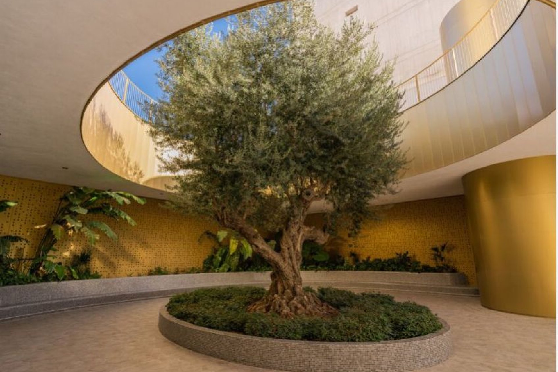 Segunda mano - Apartamento -
Benidorm - Costa Blanca