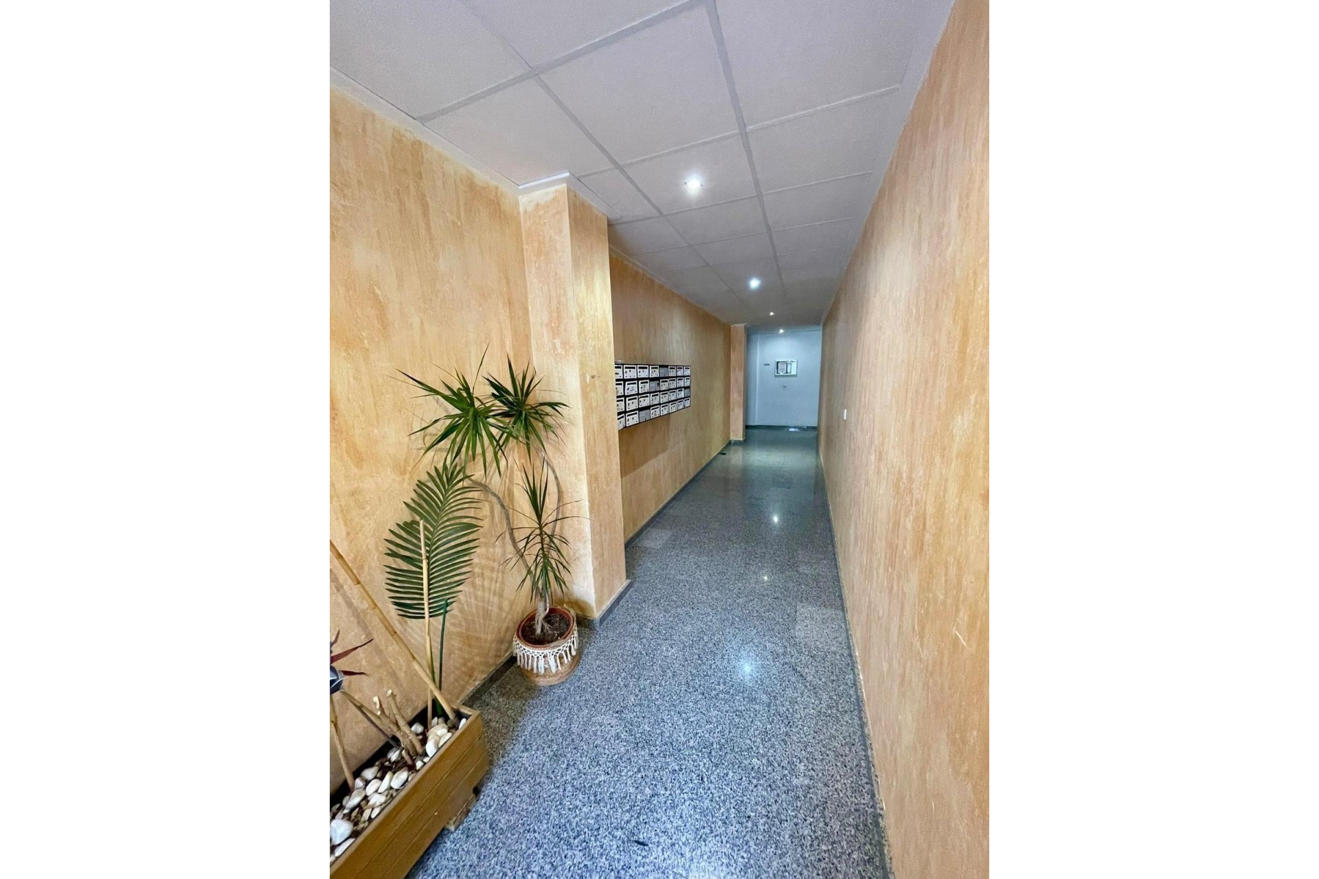 Segunda mano - Apartamento -
Benijofar - Costa Blanca