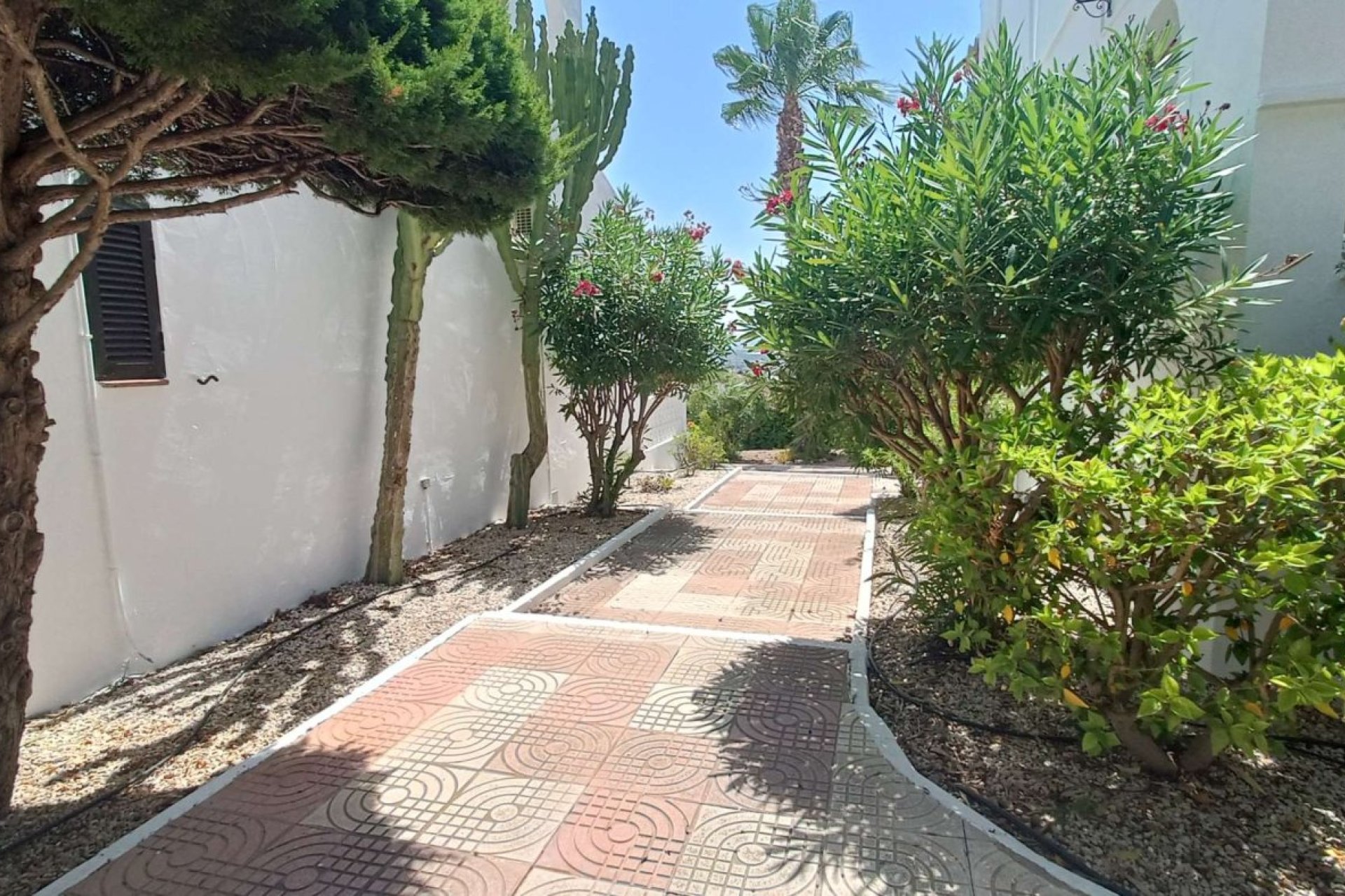 Segunda mano - Apartamento -
Ciudad Quesada - Costa Blanca