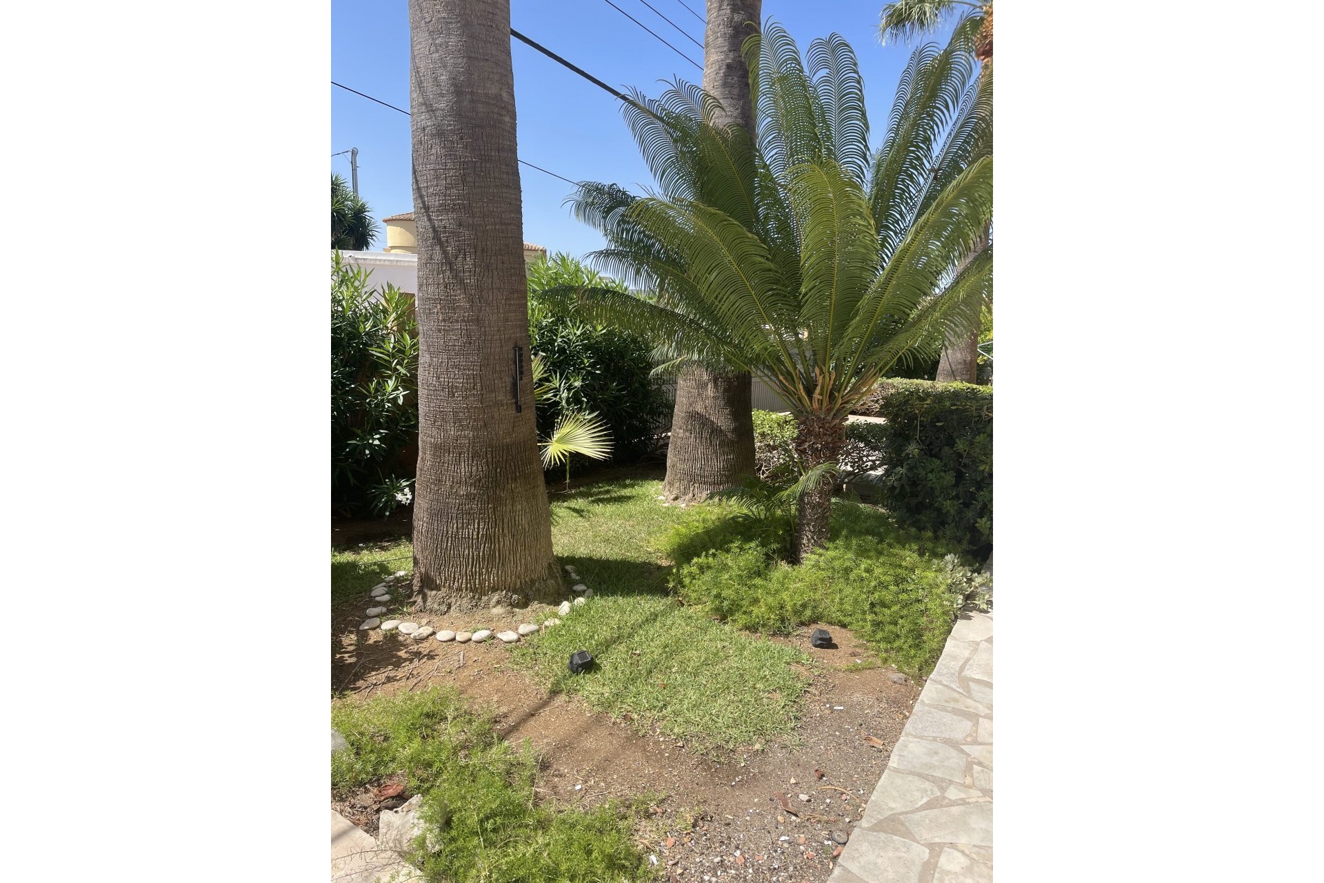 Segunda mano - Apartamento -
Denia - Costa Blanca