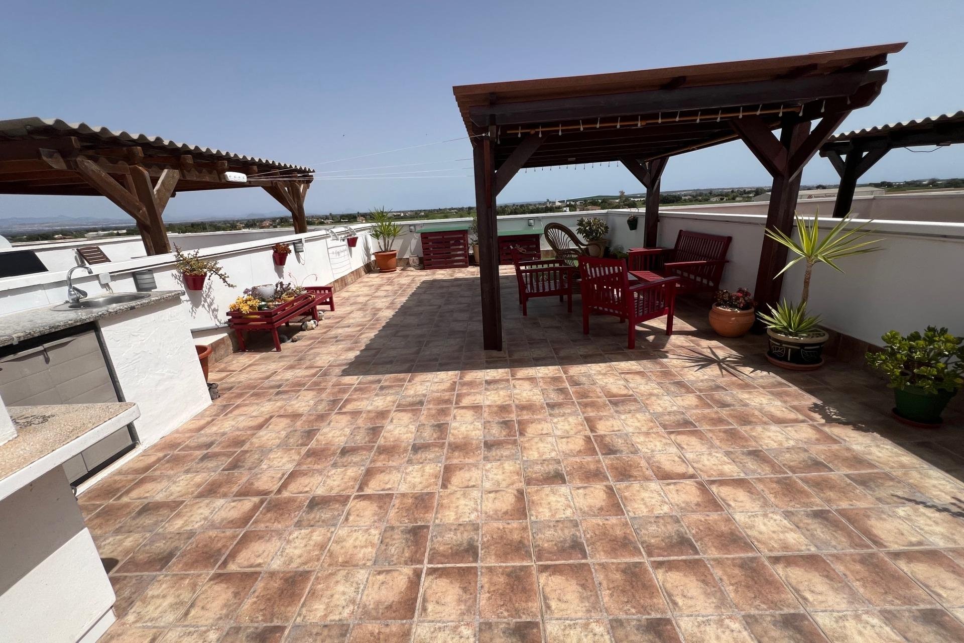 Segunda mano - Apartamento -
Dolores - Comunidad Valenciana