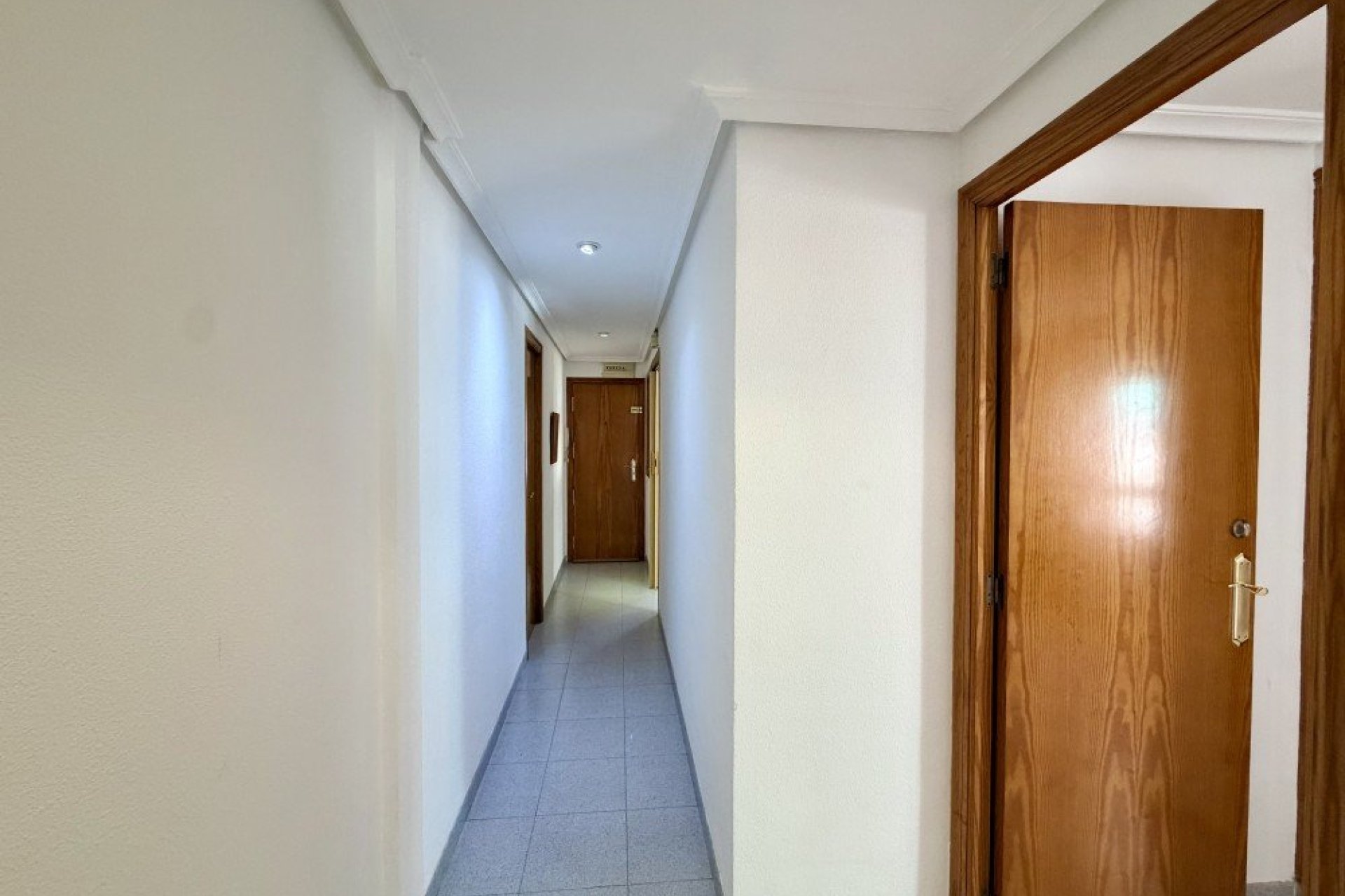 Segunda mano - Apartamento -
Elche - Costa Blanca