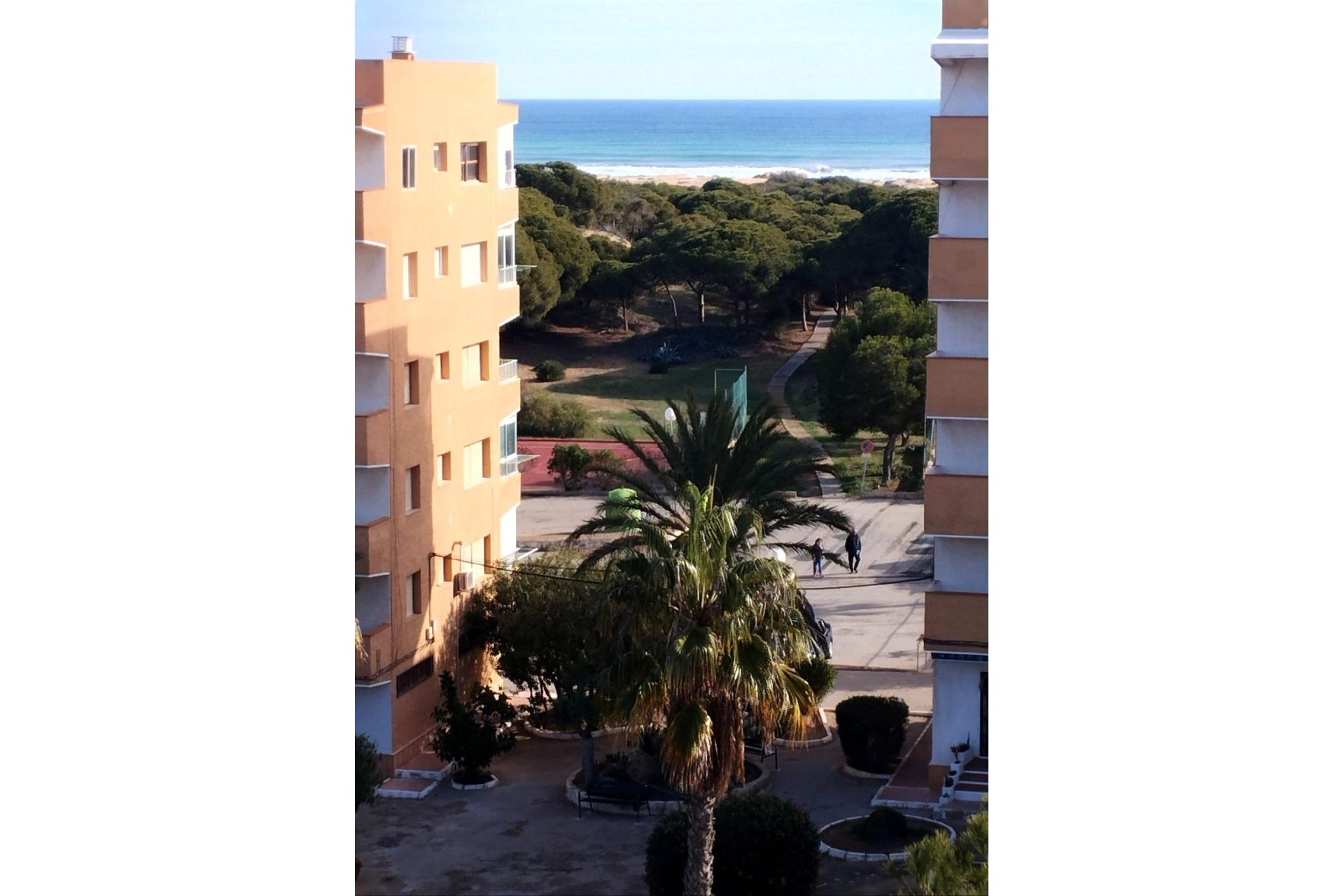 Segunda mano - Apartamento -
Guardamar del Segura - Pinomar
