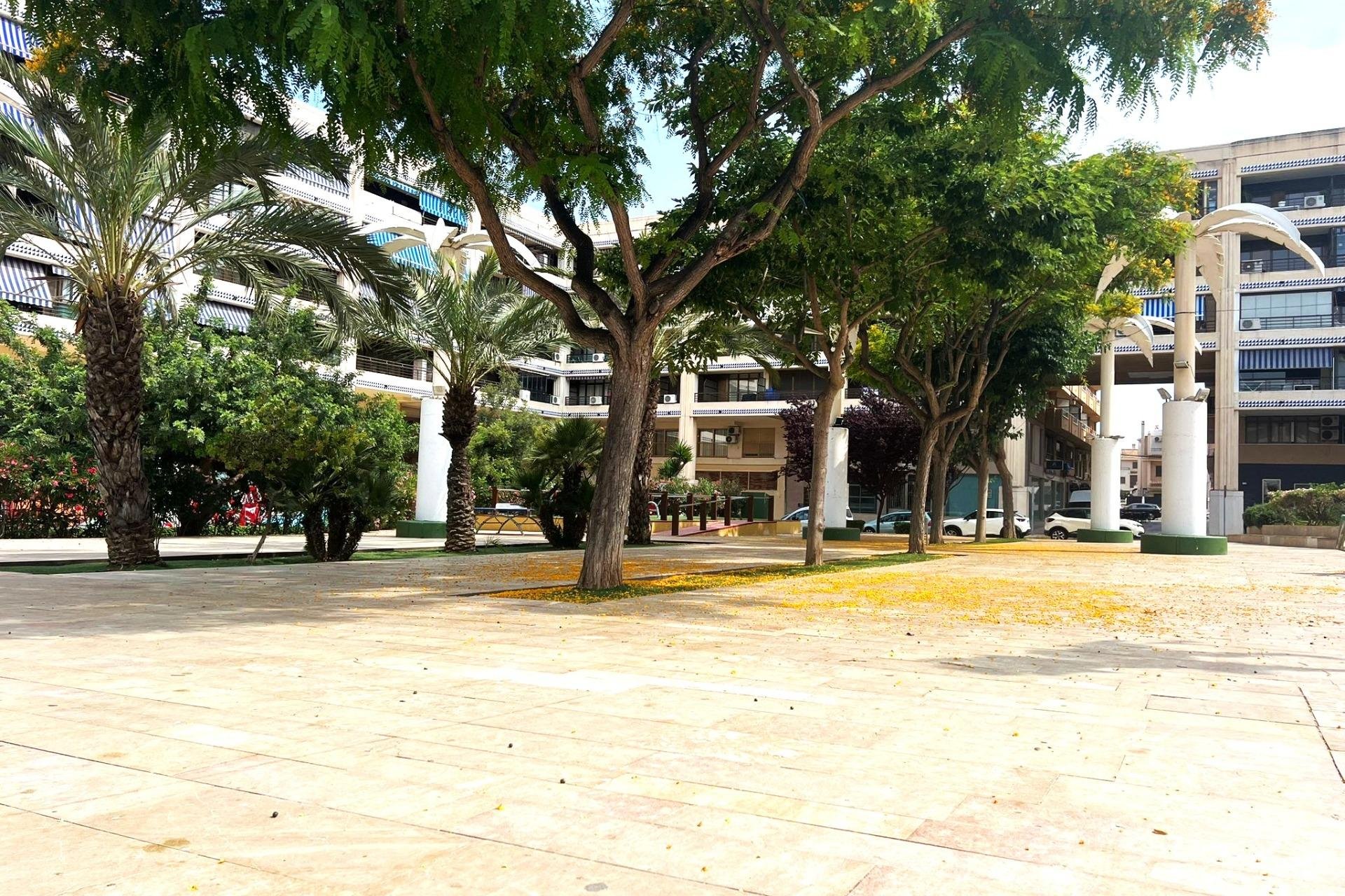Segunda mano - Apartamento -
Guardamar del Segura - Pueblo
