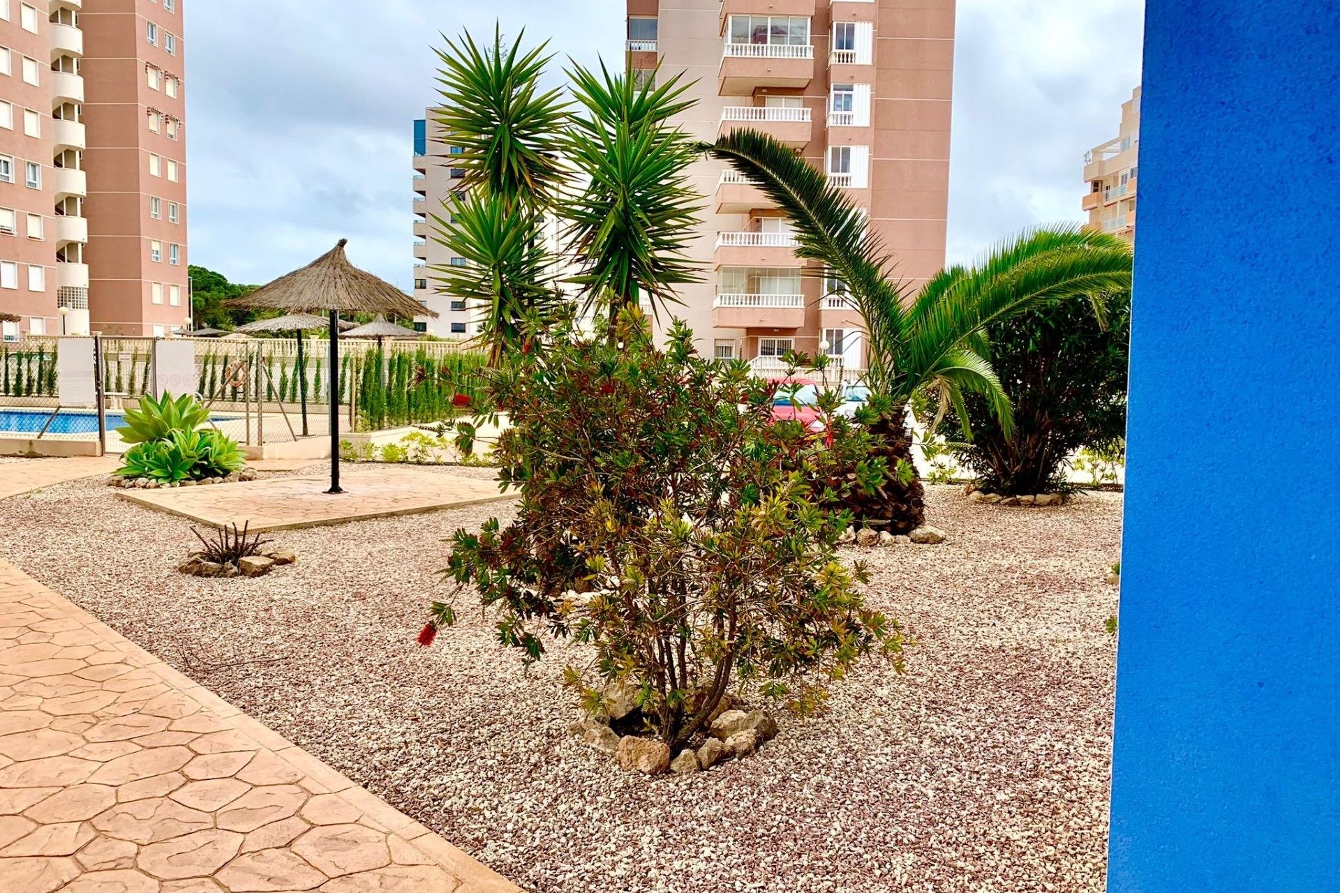 Segunda mano - Apartamento -
Guardamar del Segura - Puerto