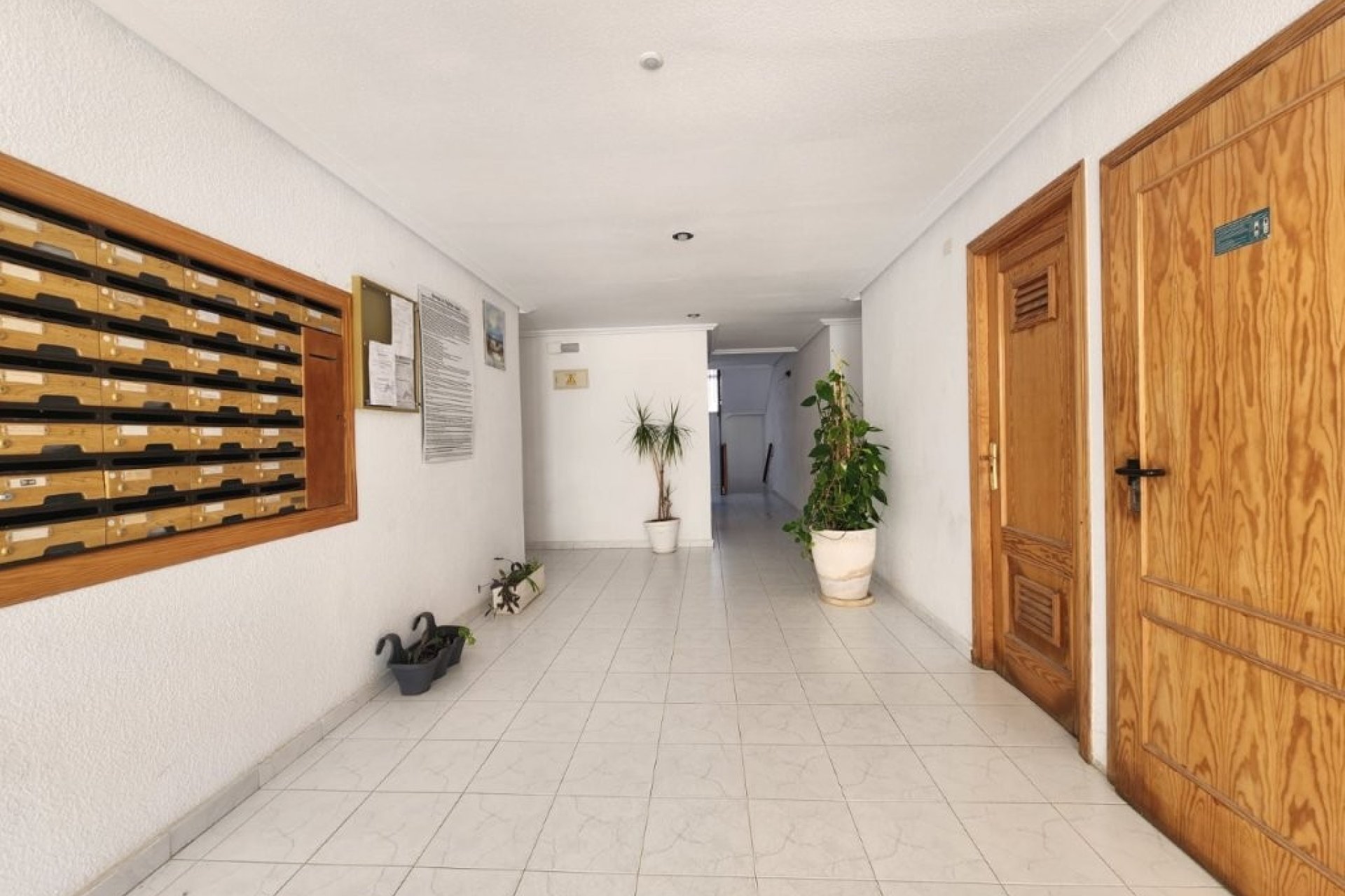 Segunda mano - Apartamento -
La Mata - Costa Blanca