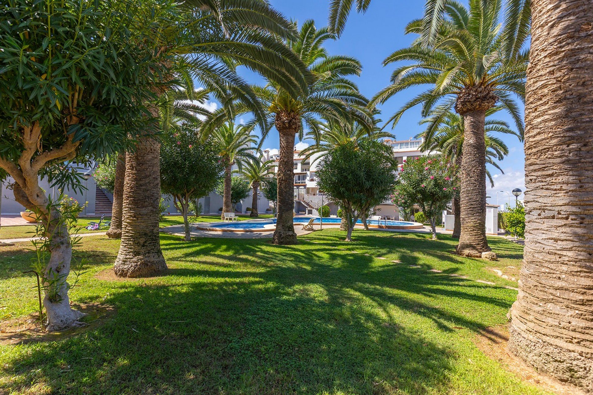 Segunda mano - Apartamento -
La Mata - Costa Blanca