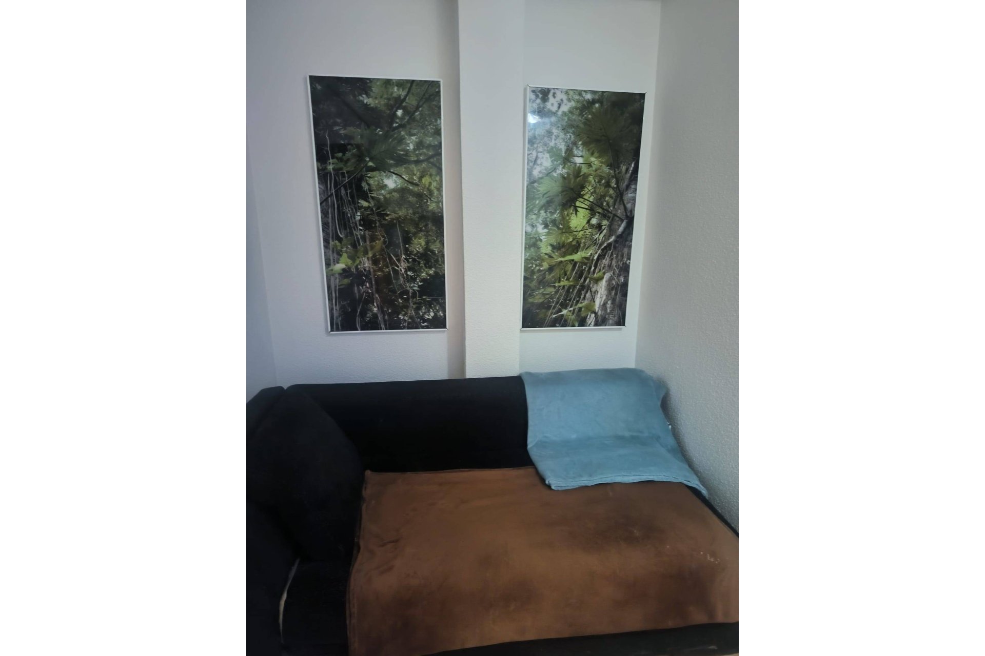 Segunda mano - Apartamento -
Lo Pagan - La Puntica