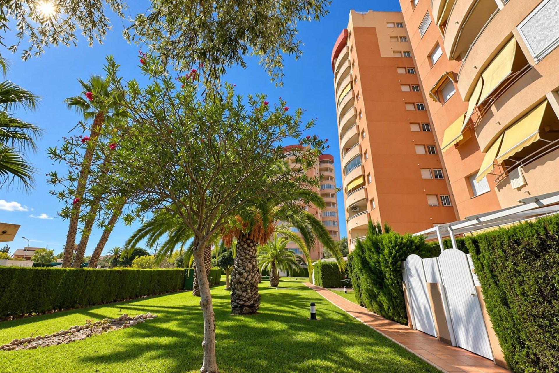 Segunda mano - Apartamento -
Orihuela Costa - Campoamor