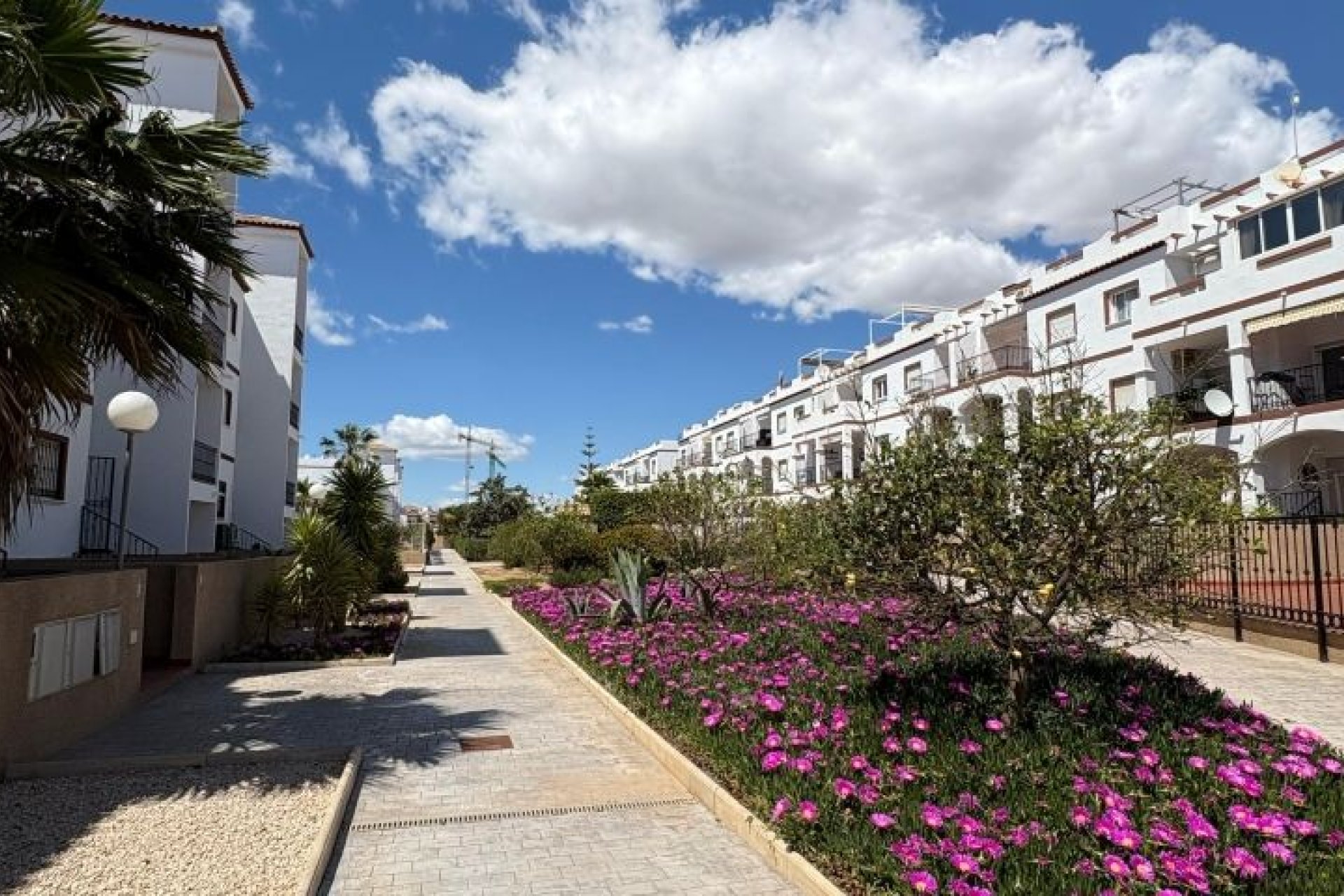 Segunda mano - Apartamento -
Orihuela Costa - Costa Blanca