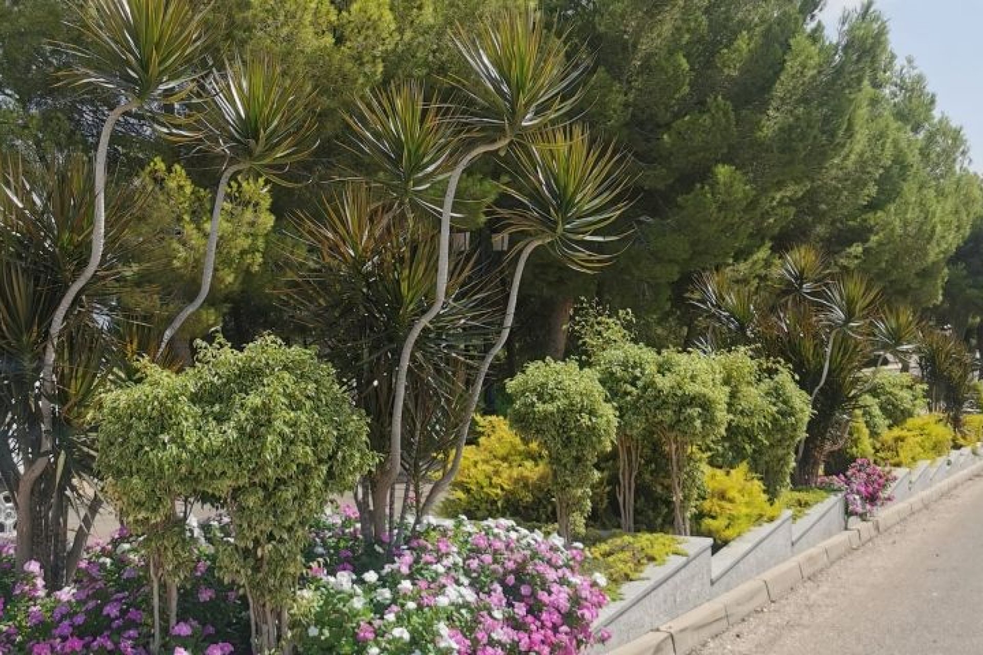 Segunda mano - Apartamento -
Orihuela Costa - Costa Blanca