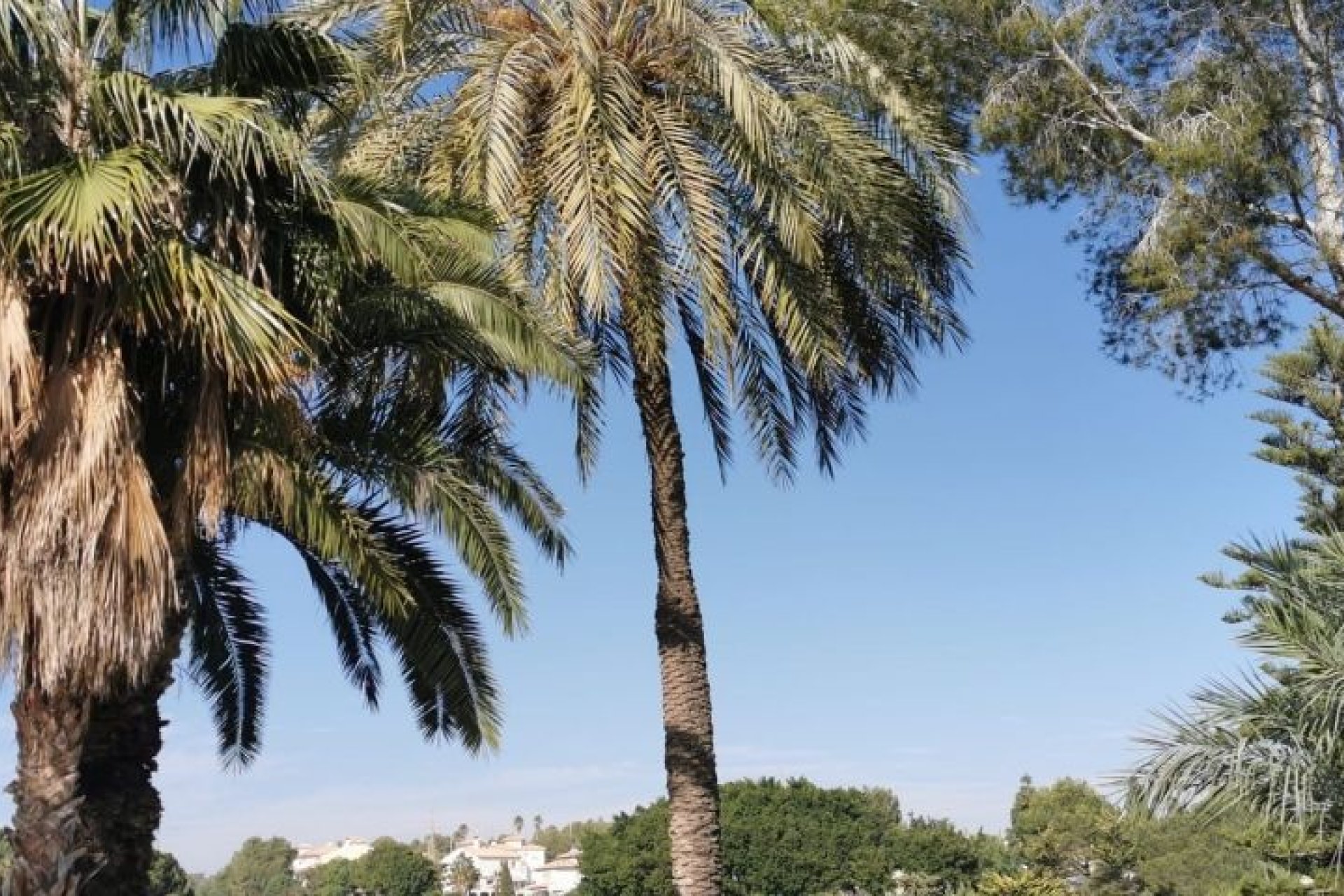 Segunda mano - Apartamento -
Orihuela Costa - Costa Blanca