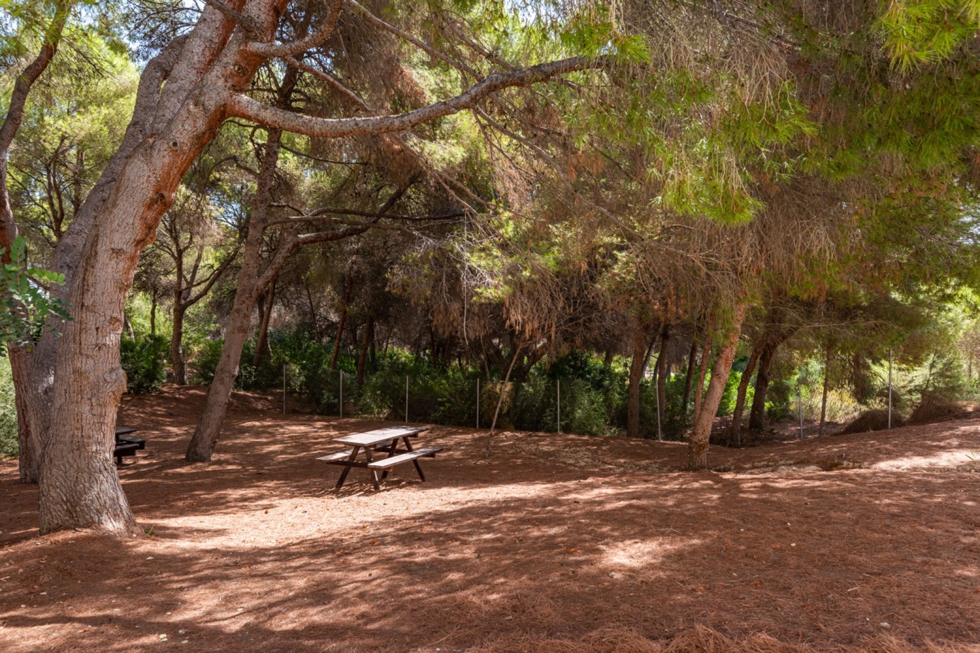 Segunda mano - Apartamento -
Orihuela Costa - Costa Blanca