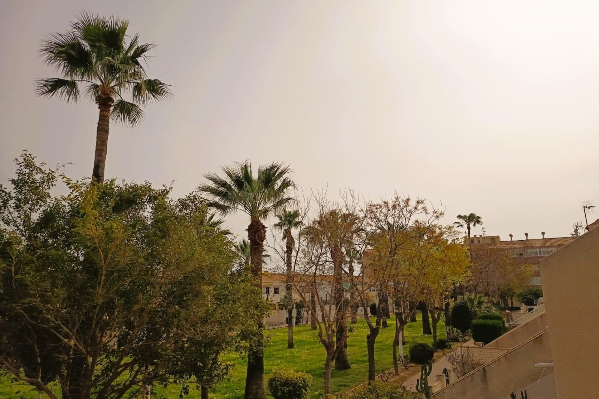 Segunda mano - Apartamento -
Orihuela Costa - Costa Blanca