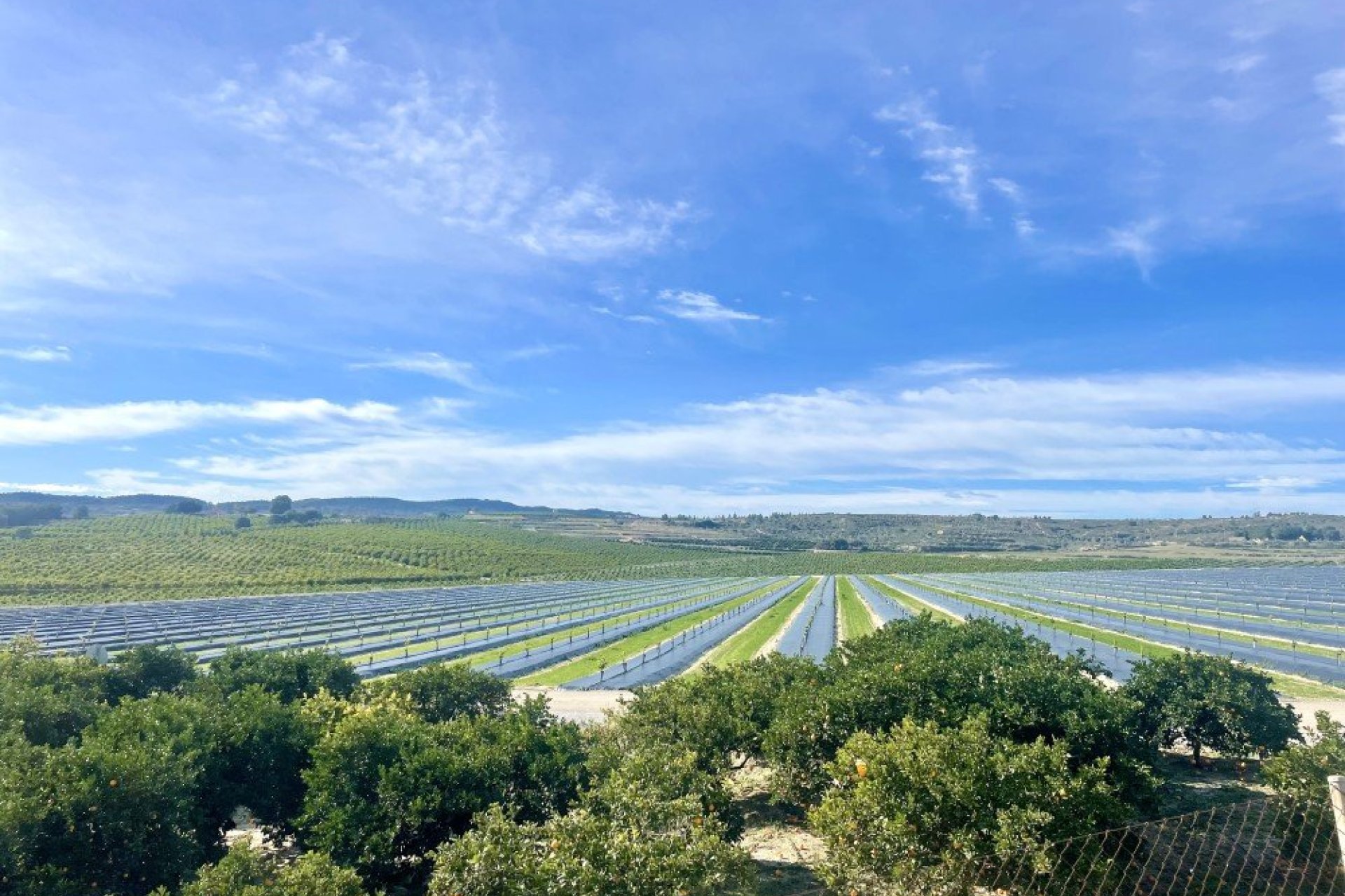 Segunda mano - Apartamento -
Orihuela Costa - Costa Blanca