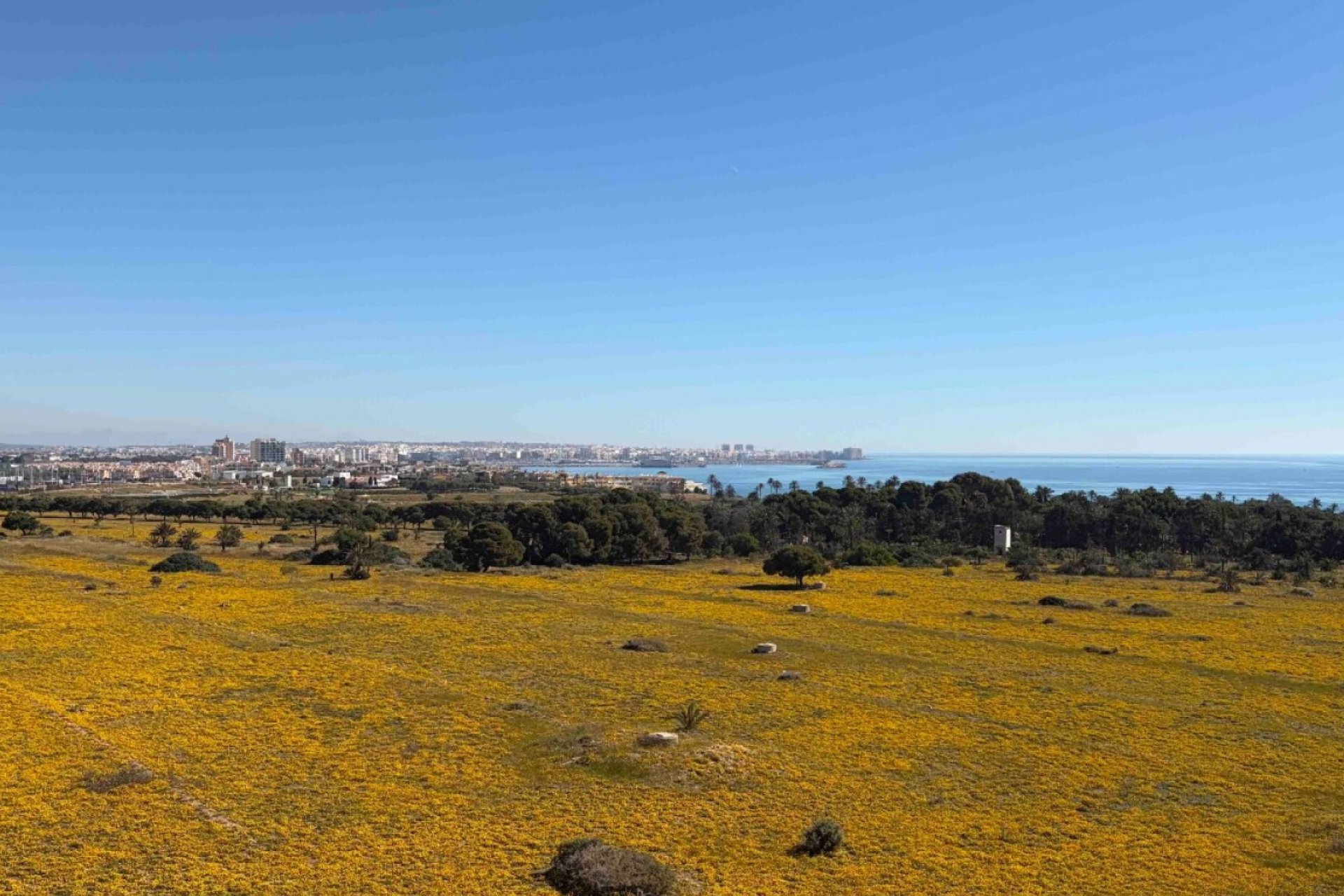 Segunda mano - Apartamento -
Orihuela Costa - Costa Blanca