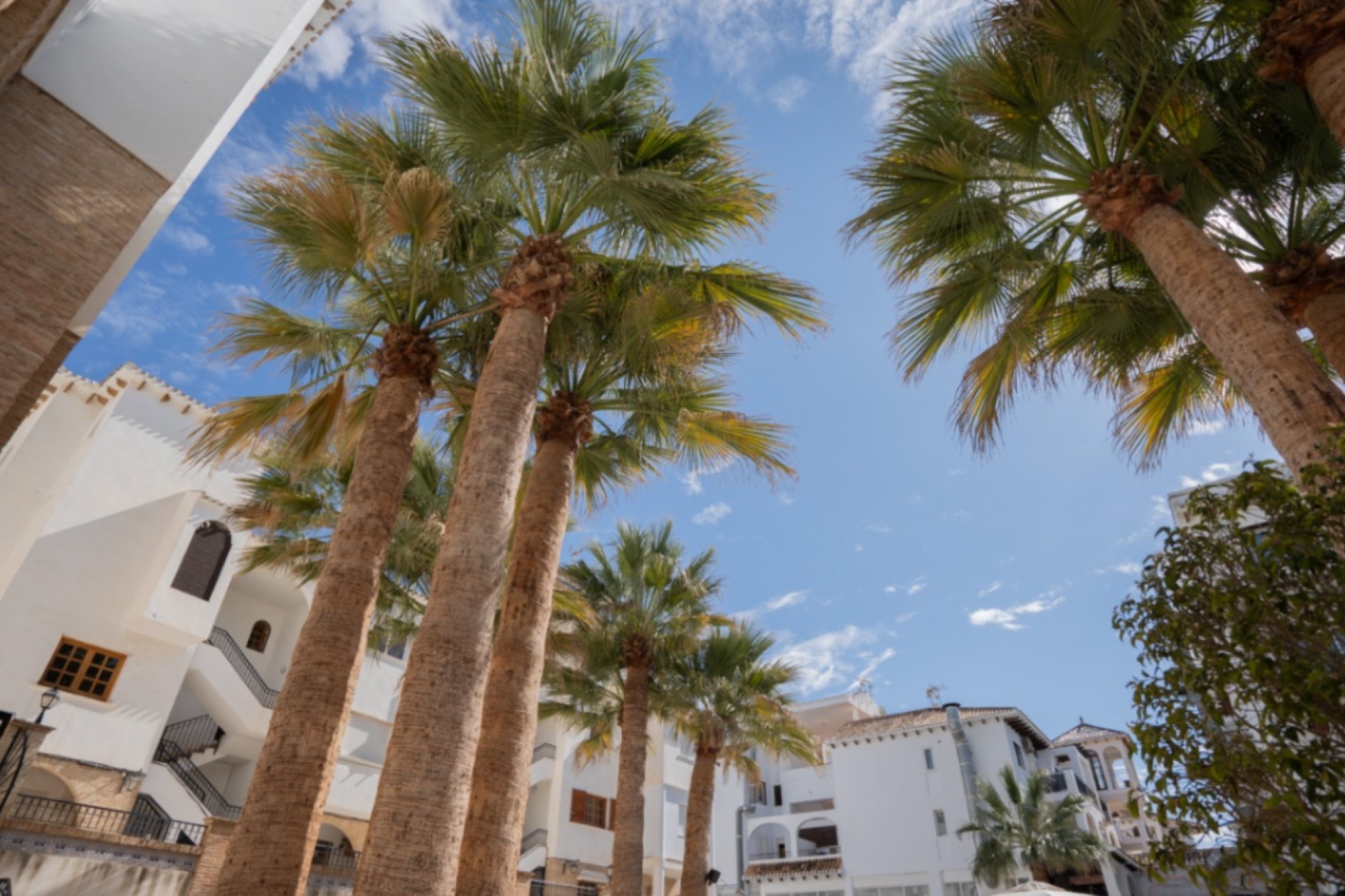 Segunda mano - Apartamento -
Orihuela - Inland
