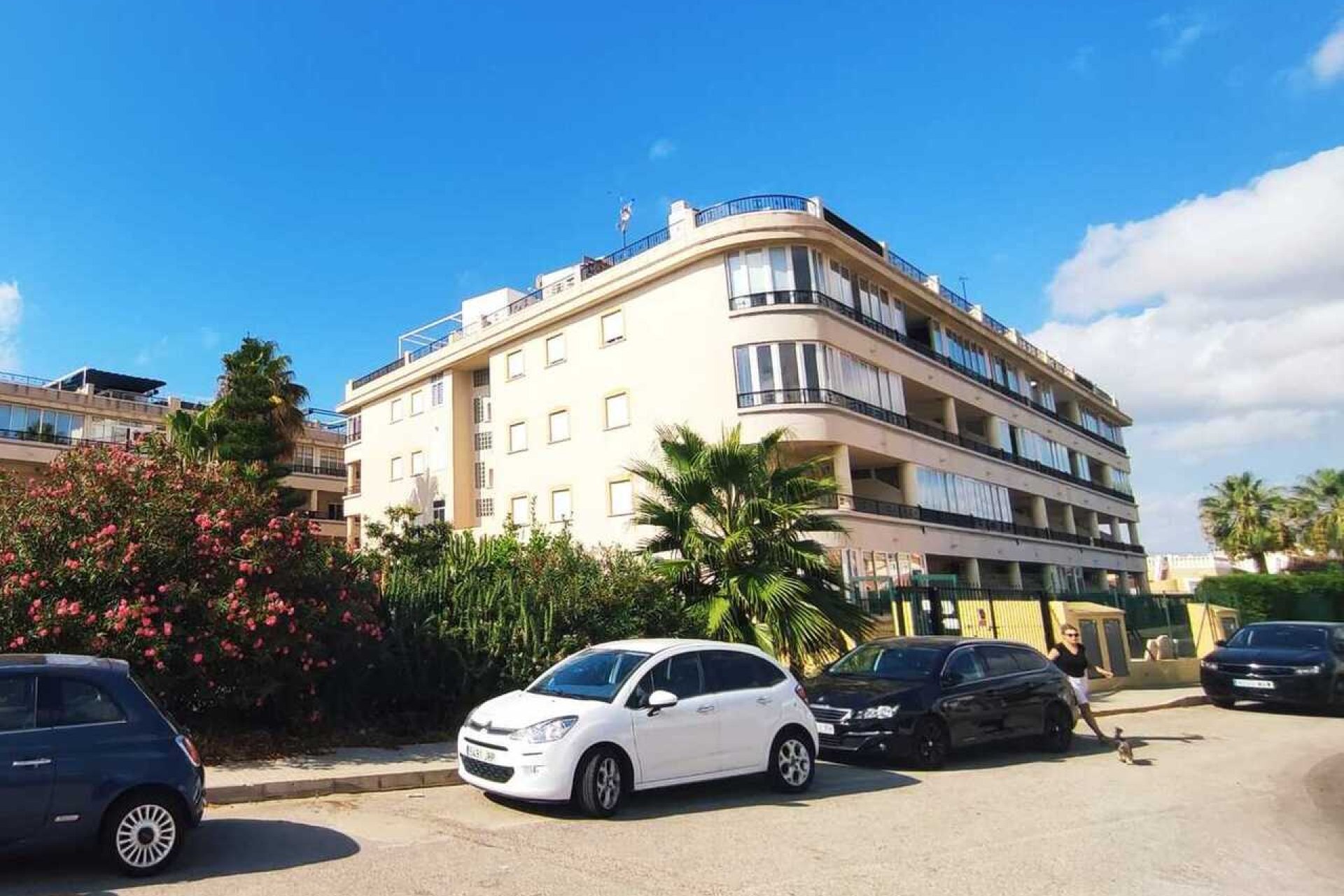 Segunda mano - Apartamento -
Playa Flamenca - Costa Blanca