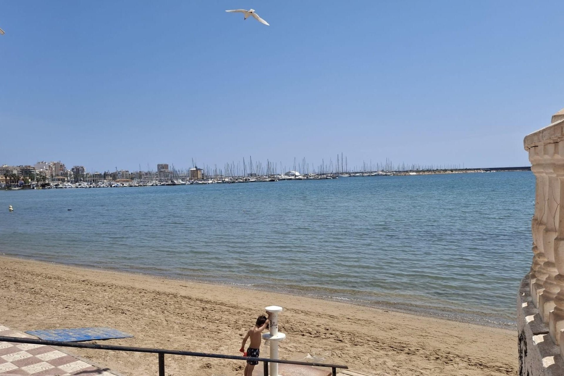 Segunda mano - Apartamento -
Torrevieja - Acequion