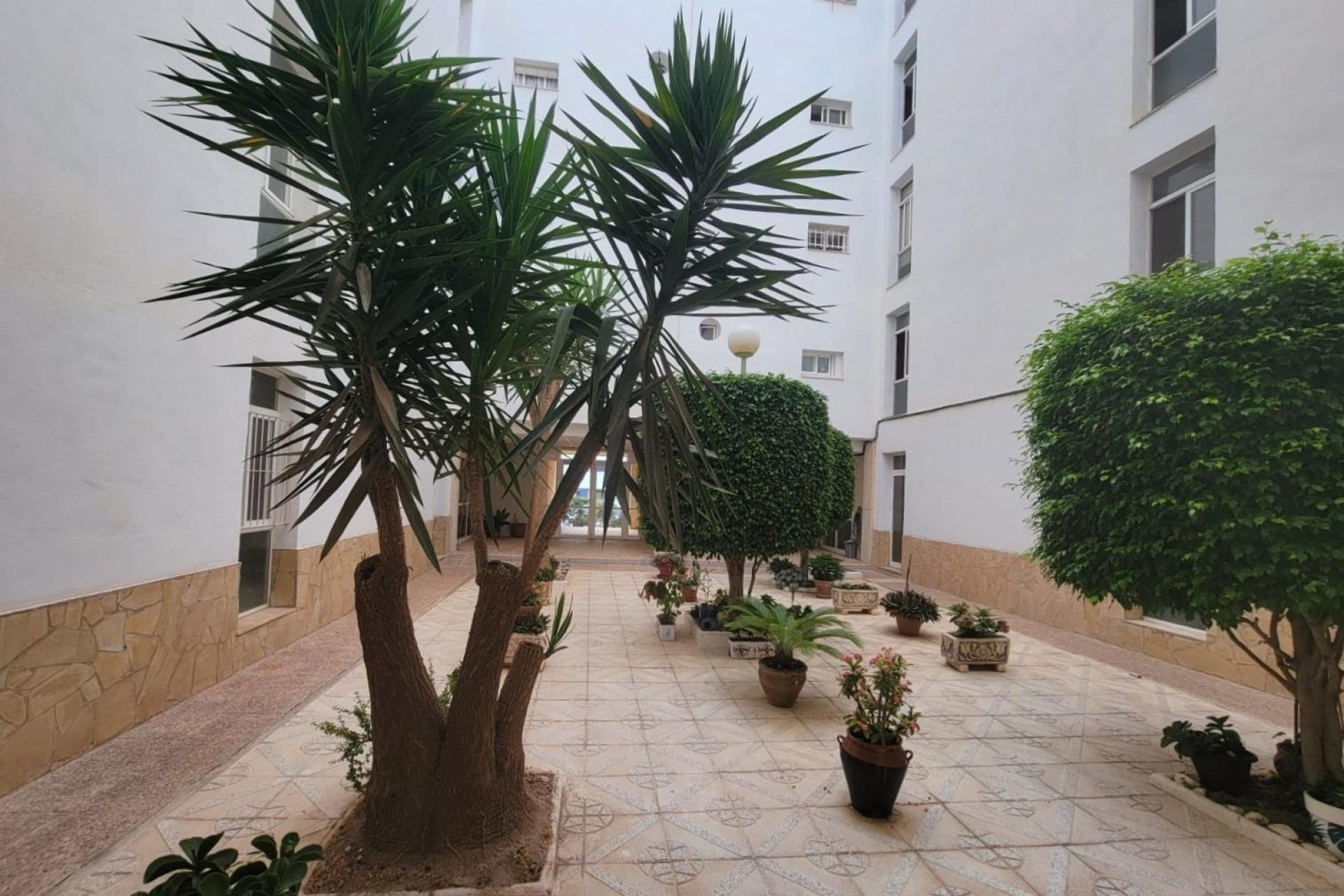 Segunda mano - Apartamento -
Torrevieja - Aguas Nuevas