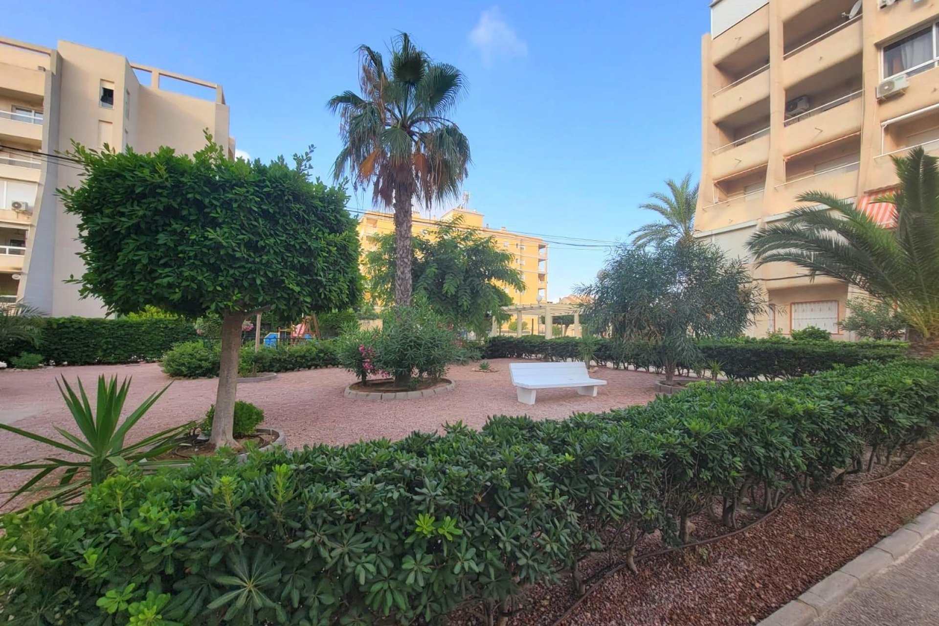 Segunda mano - Apartamento -
Torrevieja - Aguas Nuevas