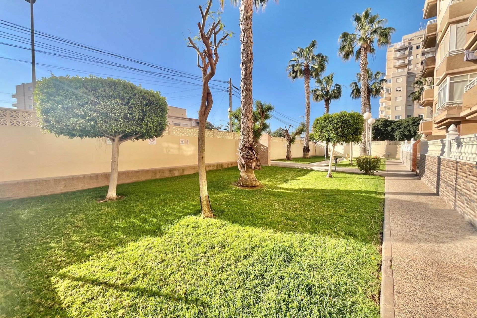 Segunda mano - Apartamento -
Torrevieja - Calas Blanca