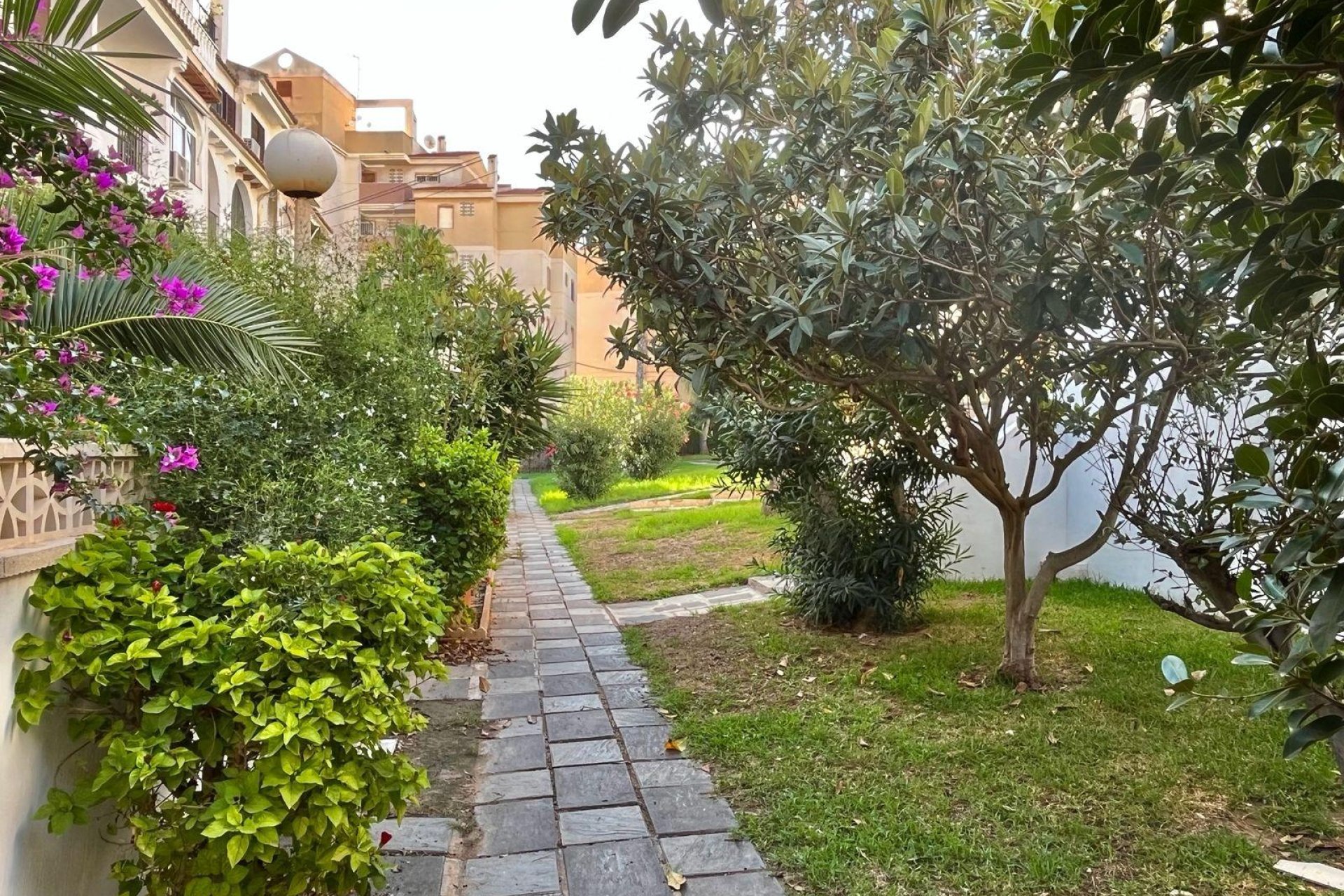 Segunda mano - Apartamento -
Torrevieja - Calas Blanca