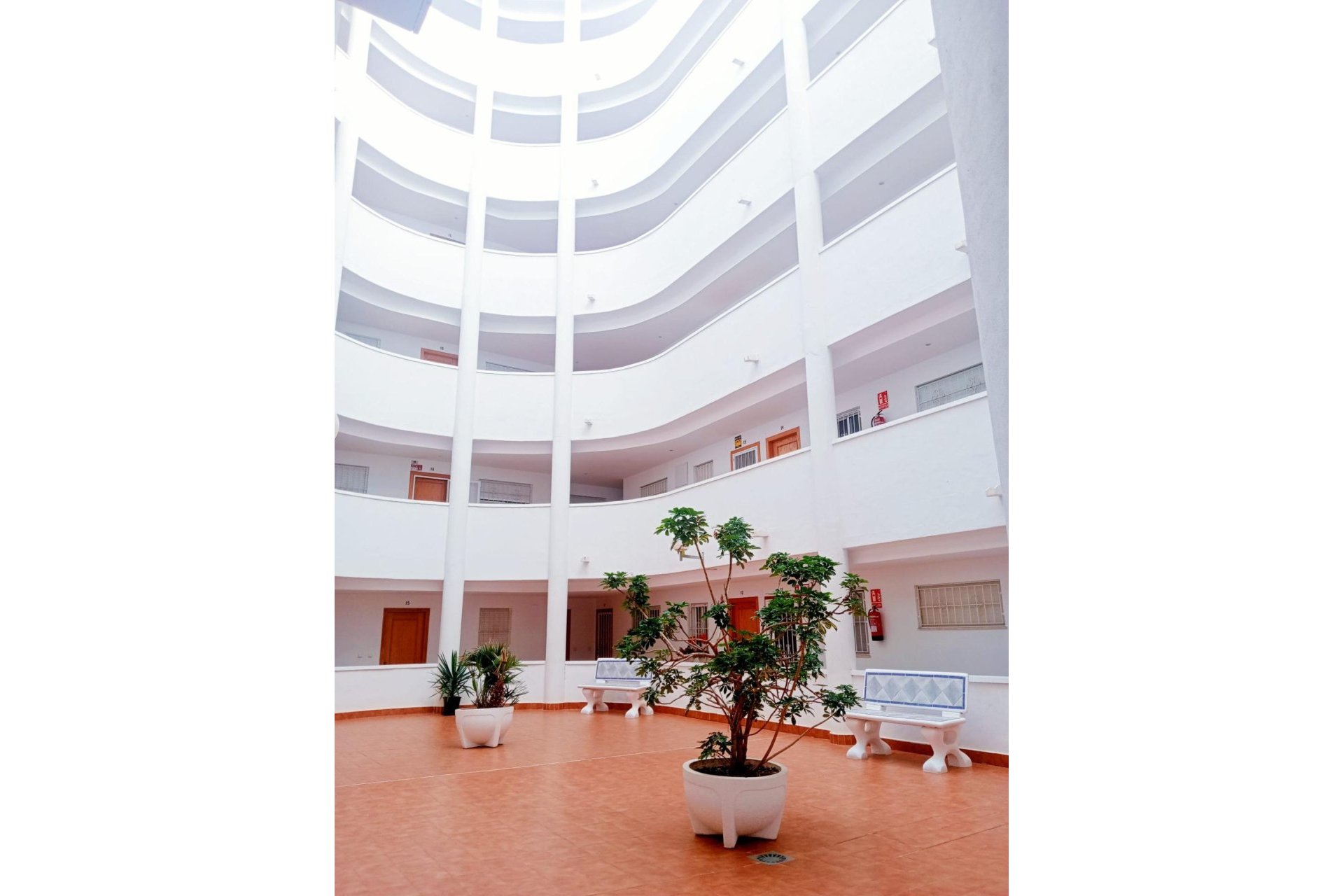 Segunda mano - Apartamento -
Torrevieja - Centro