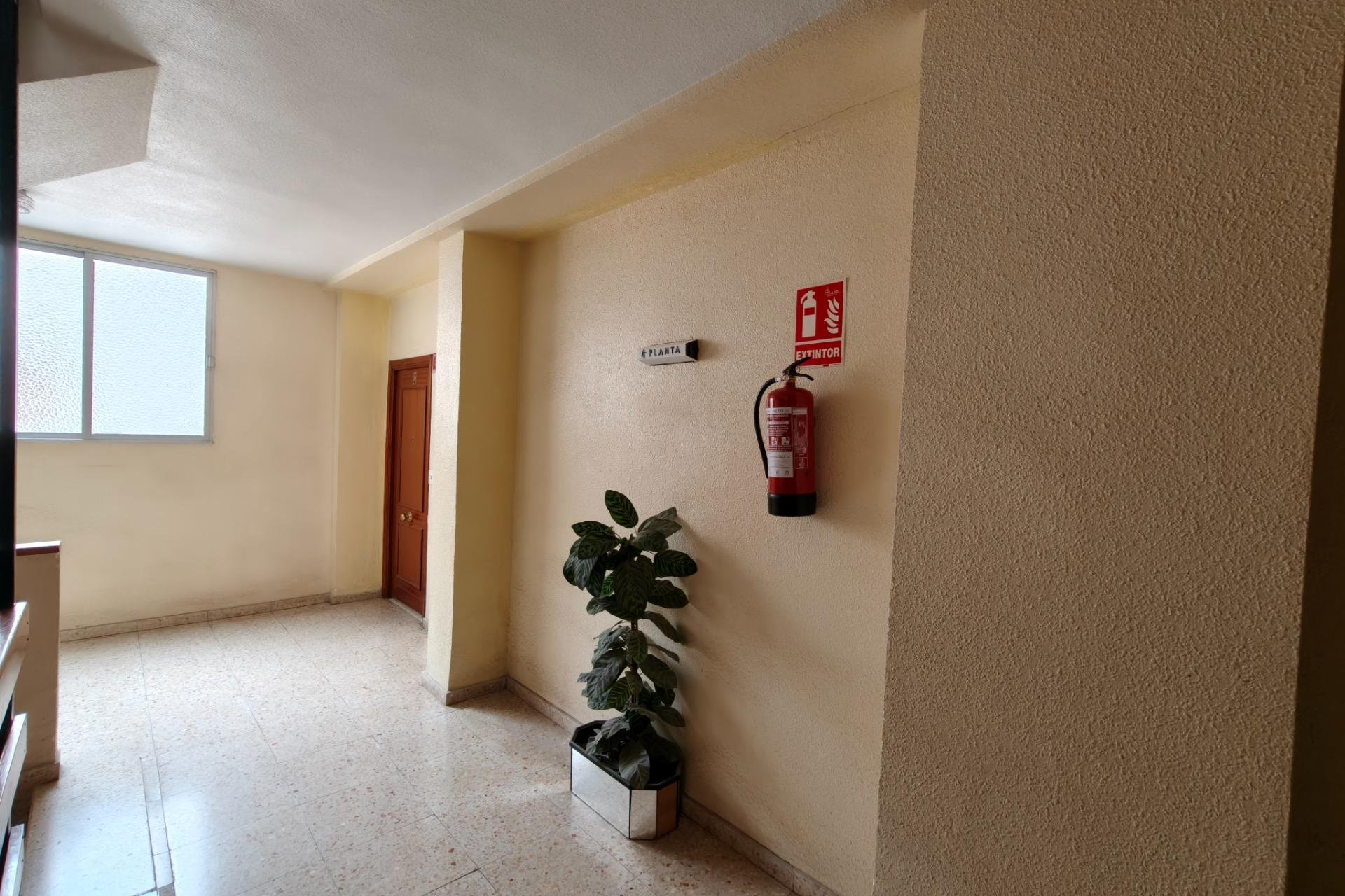 Segunda mano - Apartamento -
Torrevieja - Centro