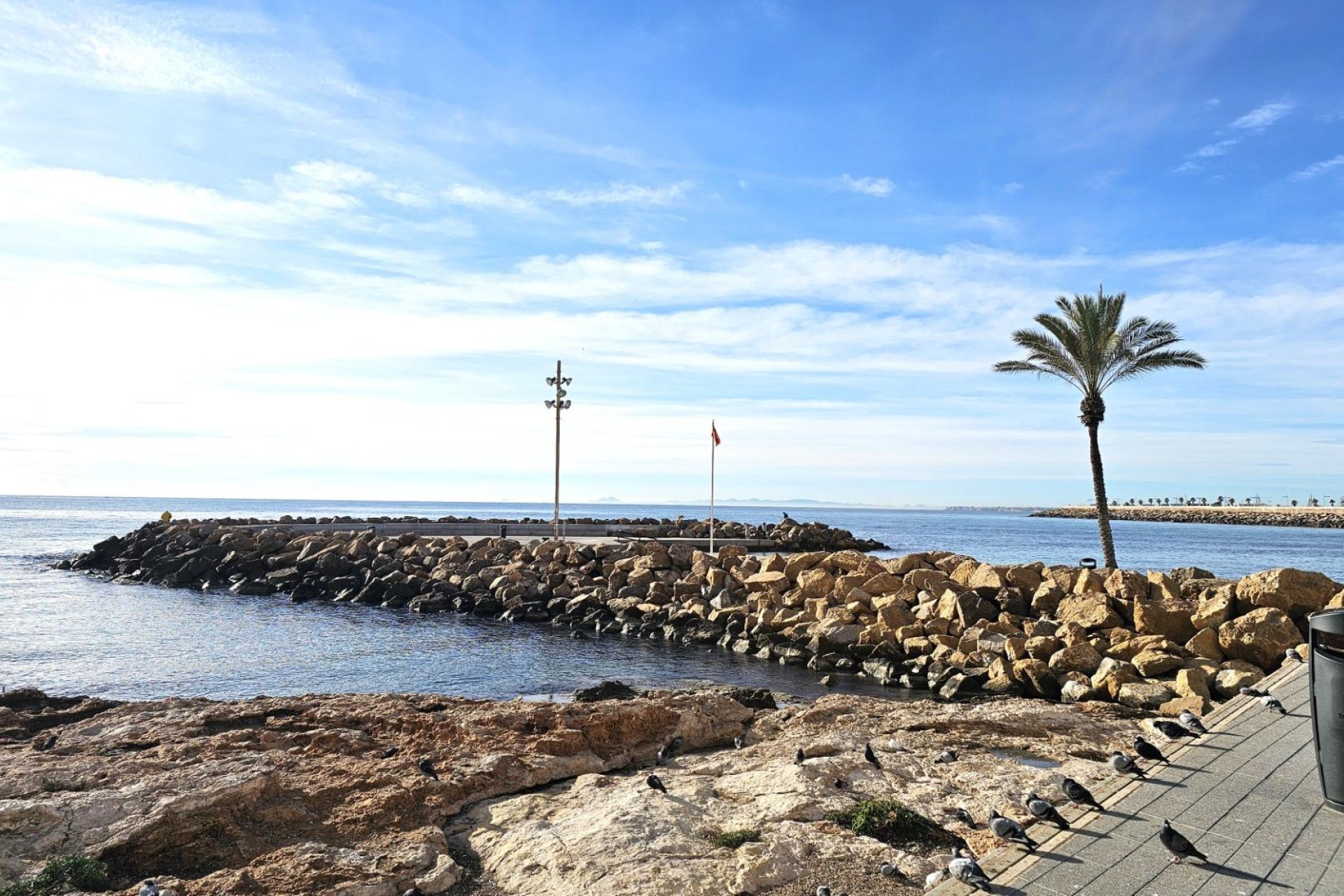 Segunda mano - Apartamento -
Torrevieja - Centro