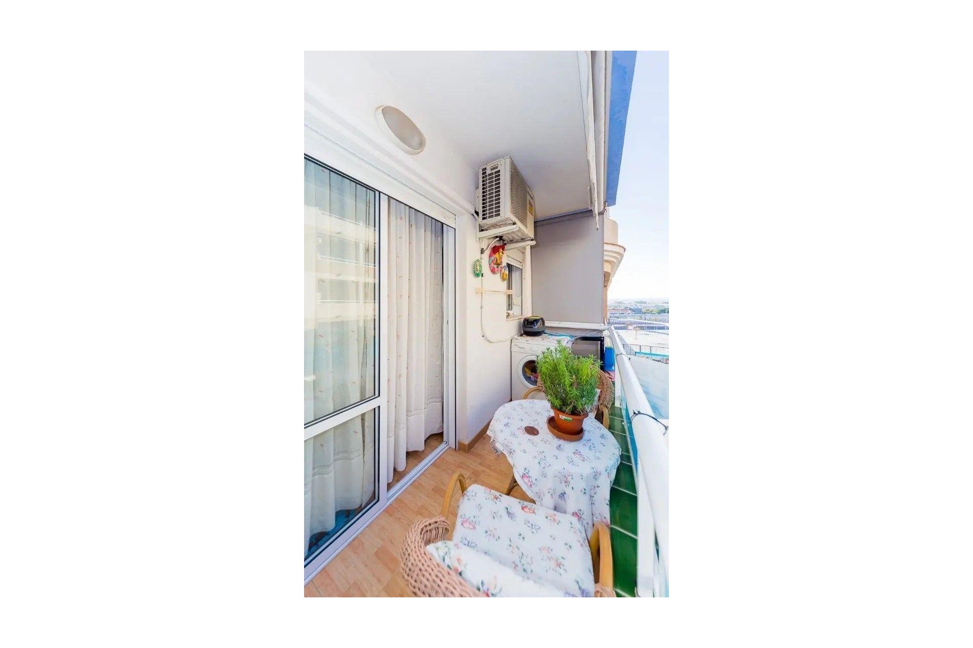 Segunda mano - Apartamento -
Torrevieja - Centro