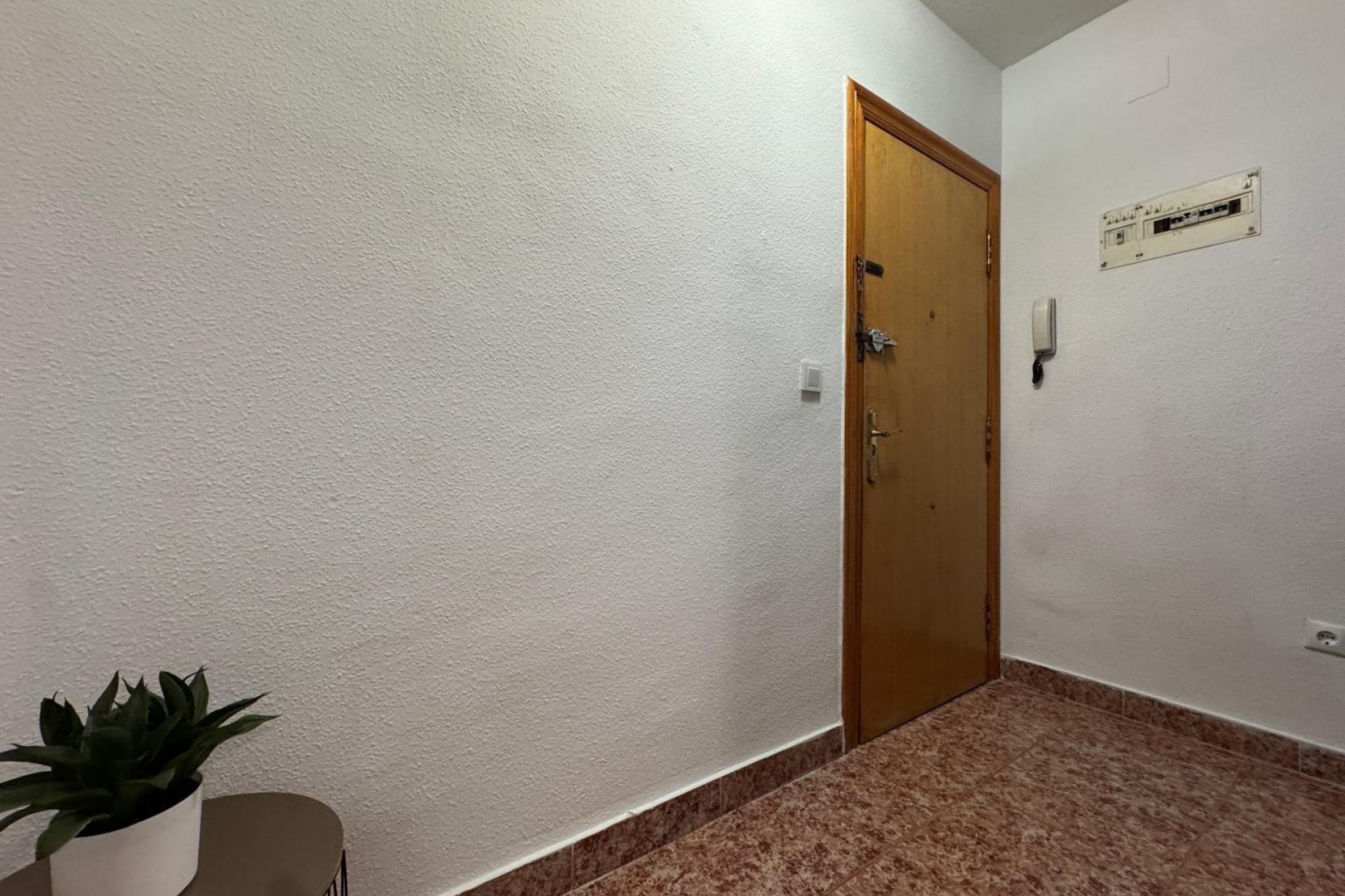 Segunda mano - Apartamento -
Torrevieja - Centro