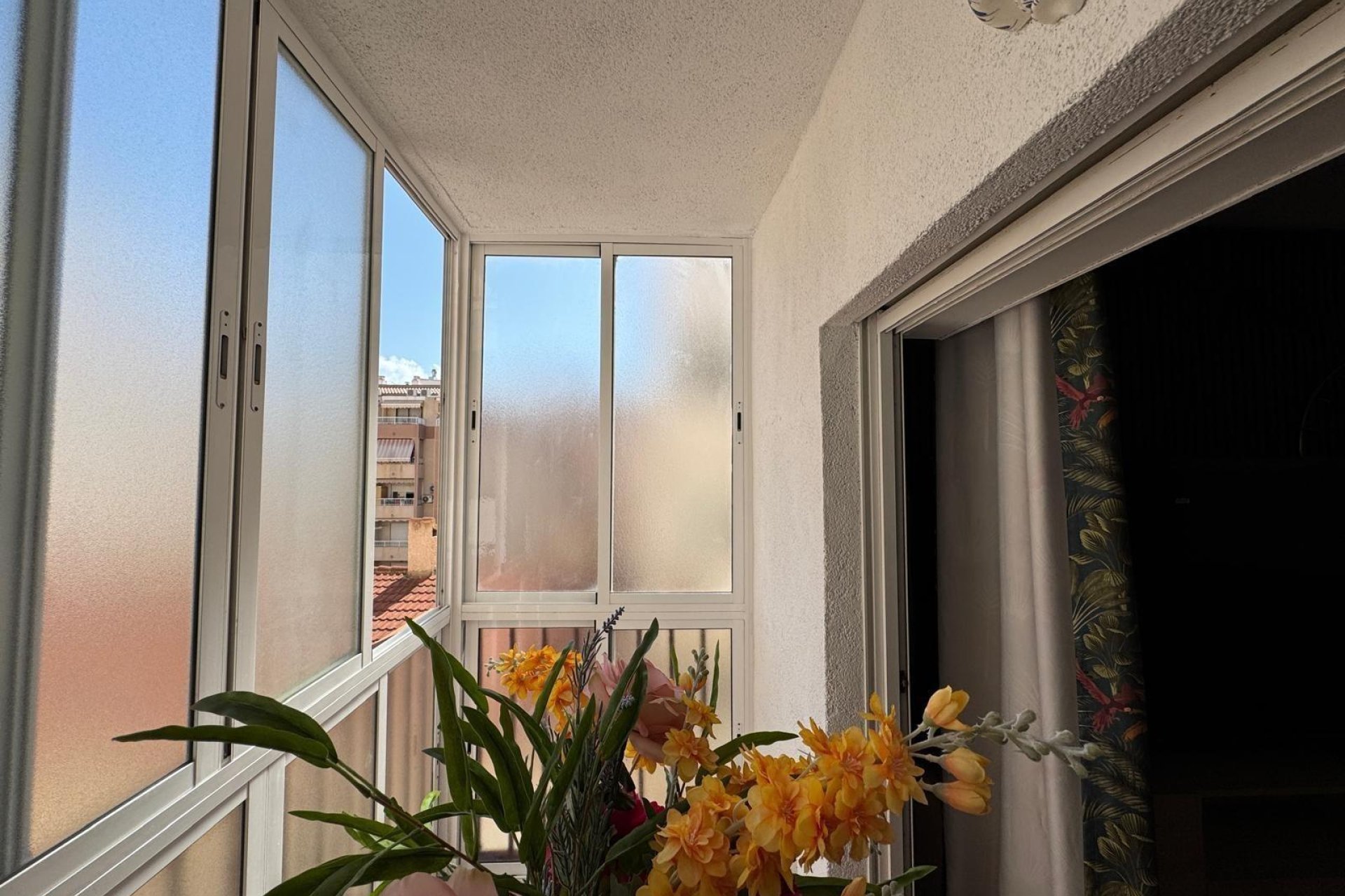 Segunda mano - Apartamento -
Torrevieja - Centro