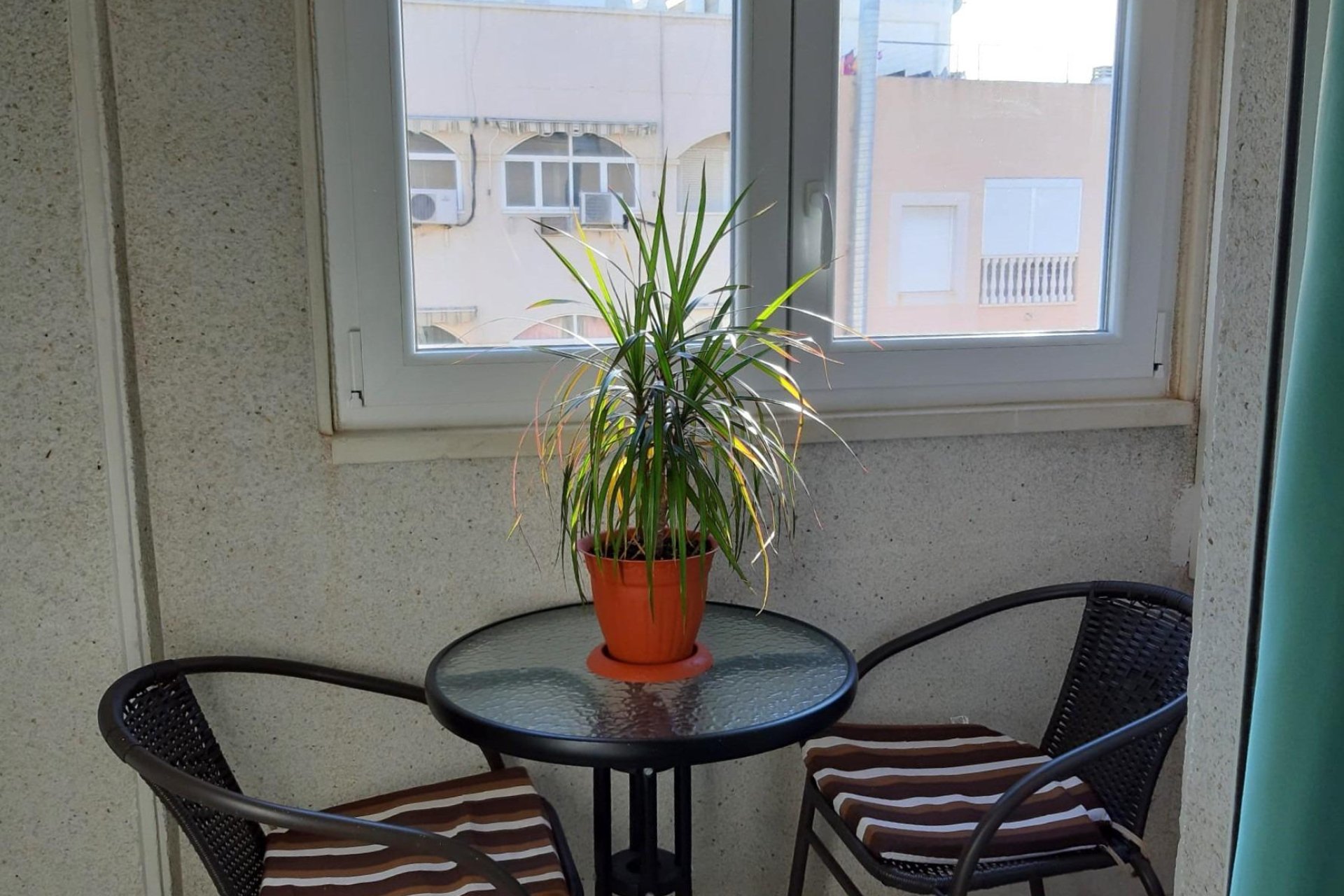 Segunda mano - Apartamento -
Torrevieja - Centro