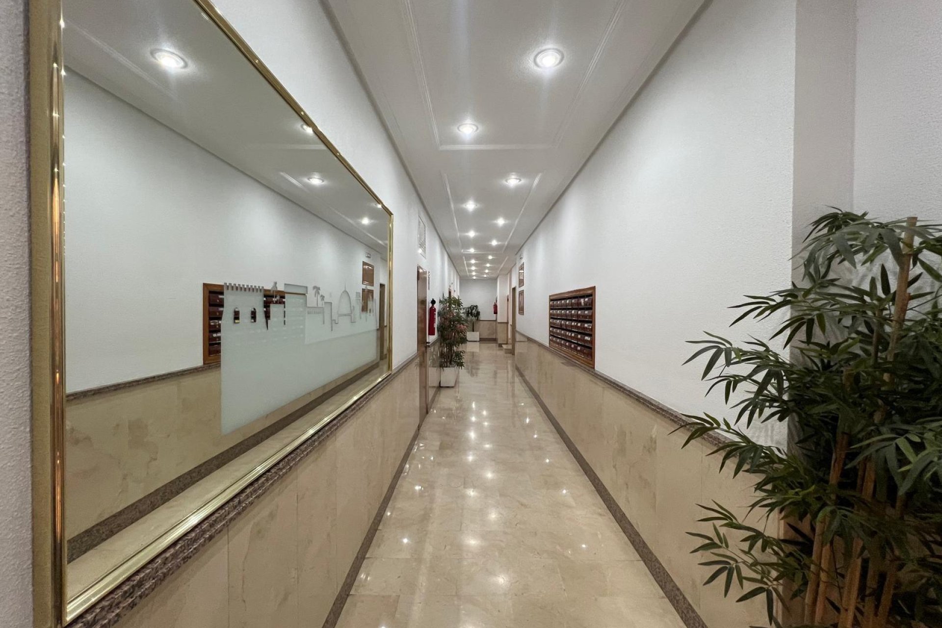 Segunda mano - Apartamento -
Torrevieja - Centro