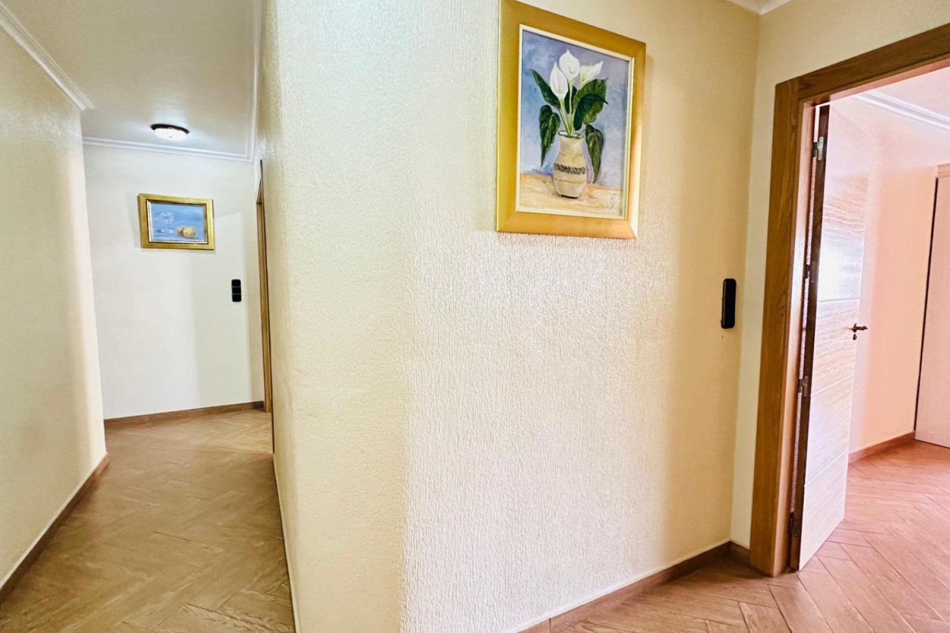 Segunda mano - Apartamento -
Torrevieja - Centro