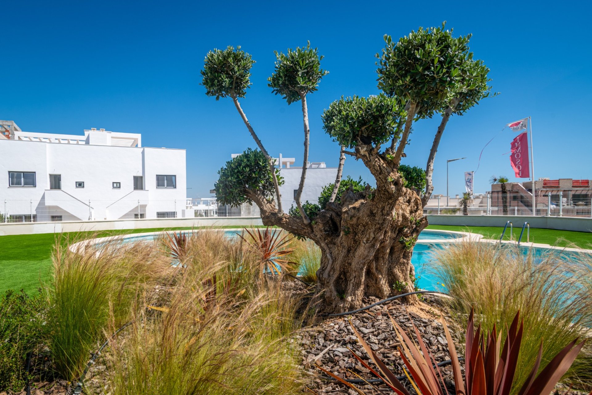 Segunda mano - Apartamento -
Torrevieja - Costa Blanca